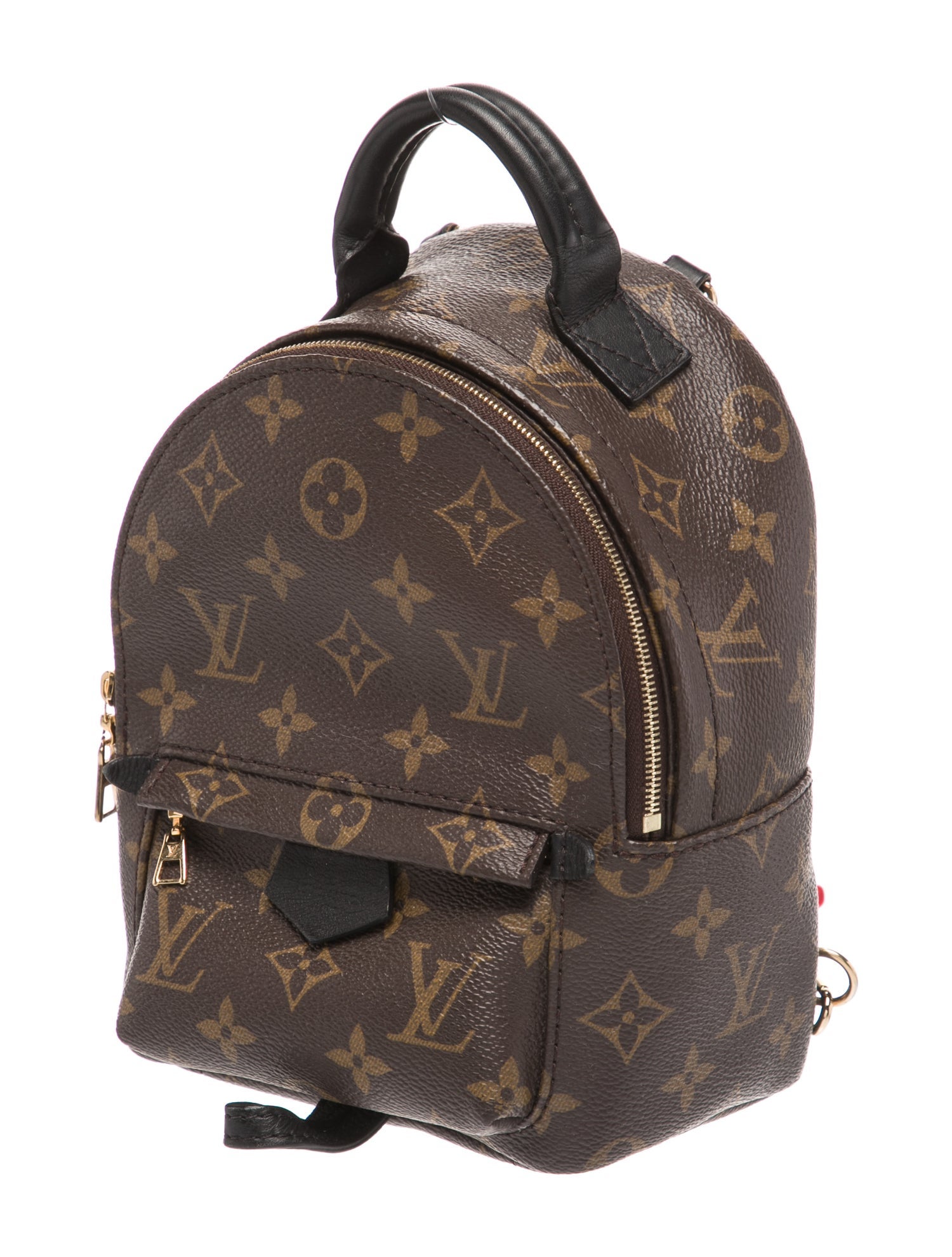 Louis Vuitton LV Monogram Palm Springs Mini