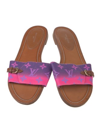 Louis Vuitton LV Monogram Slides