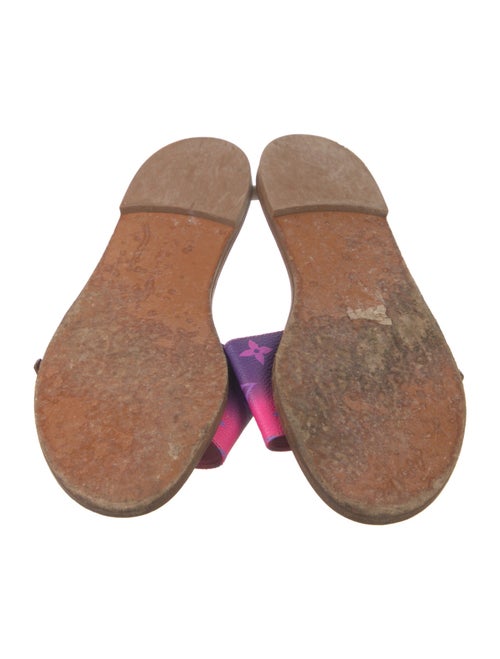 Louis Vuitton LV Monogram Slides