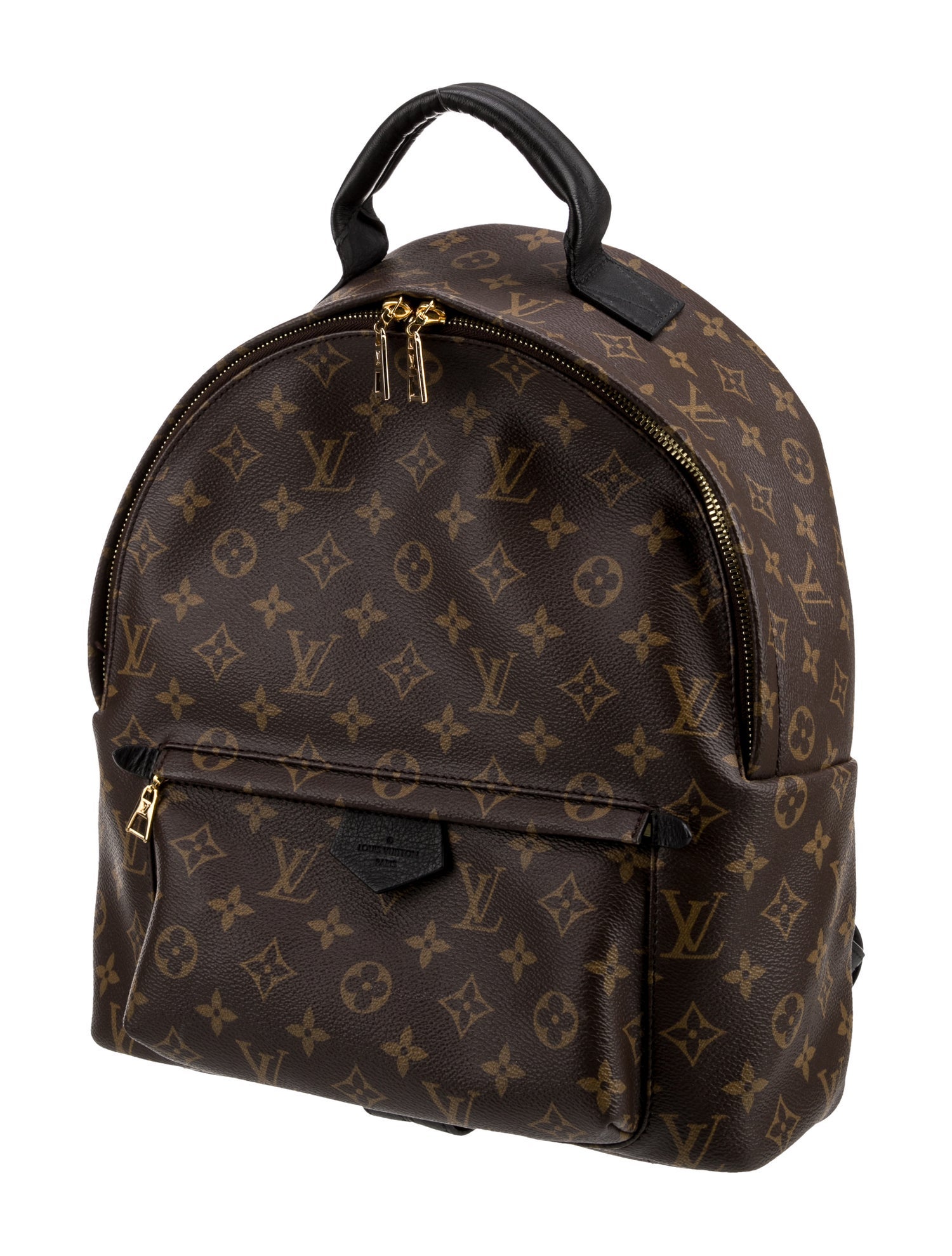 Louis Vuitton LV Monogram Palm Springs MM