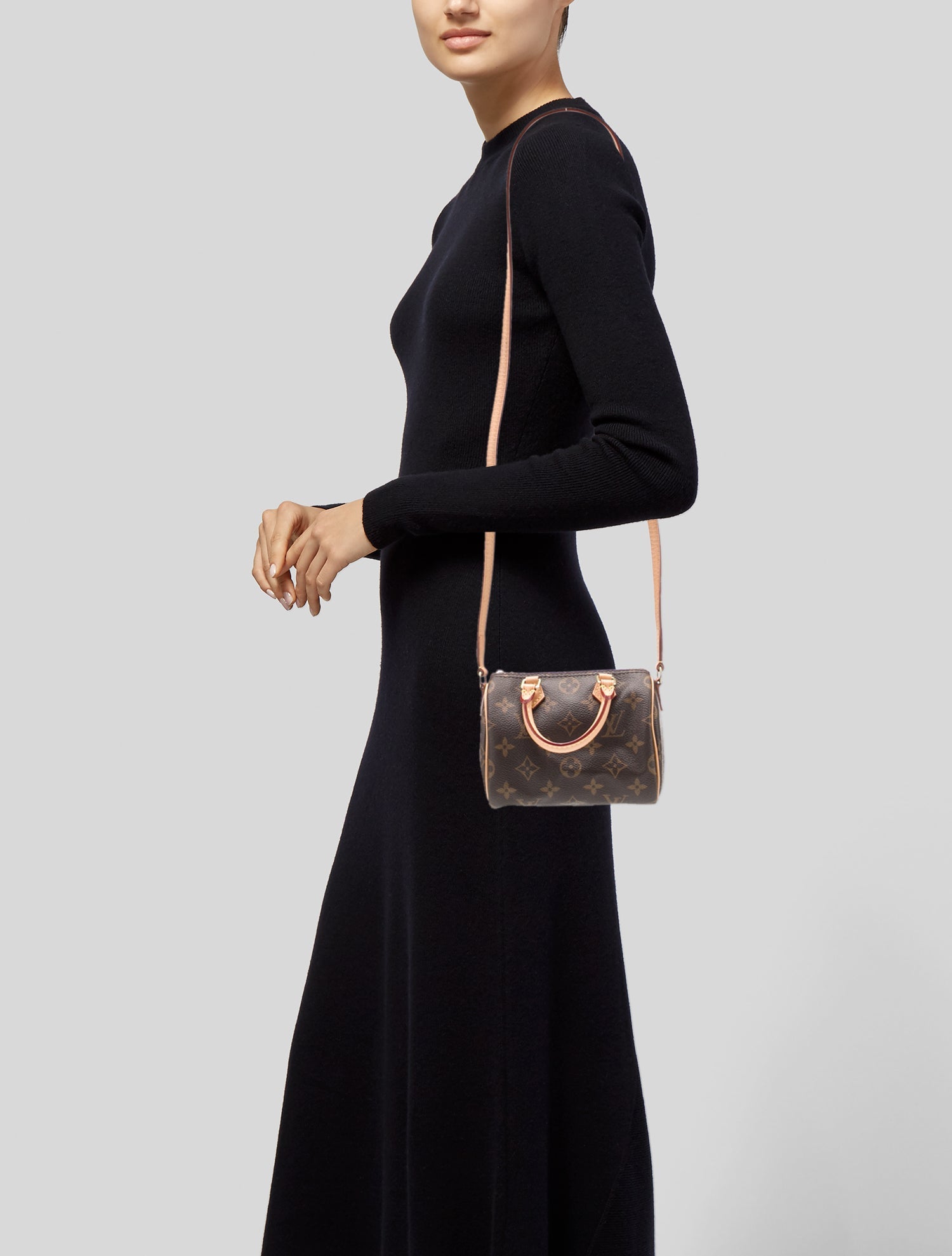 Louis Vuitton LV Monogram Speedy Nano