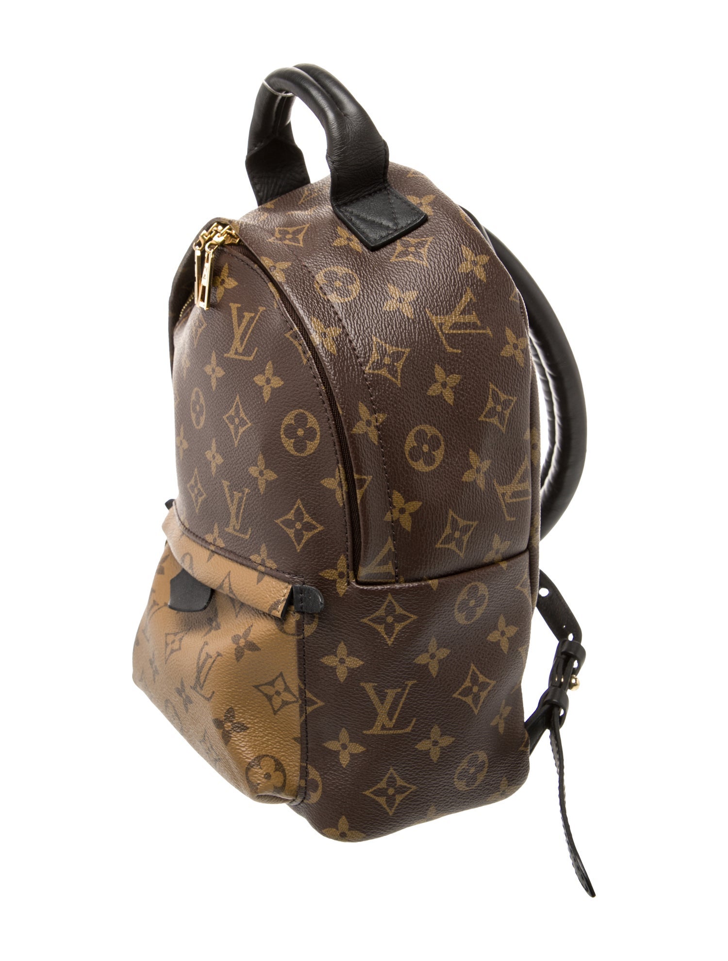 Louis Vuitton LV Monogram Palm Springs PM