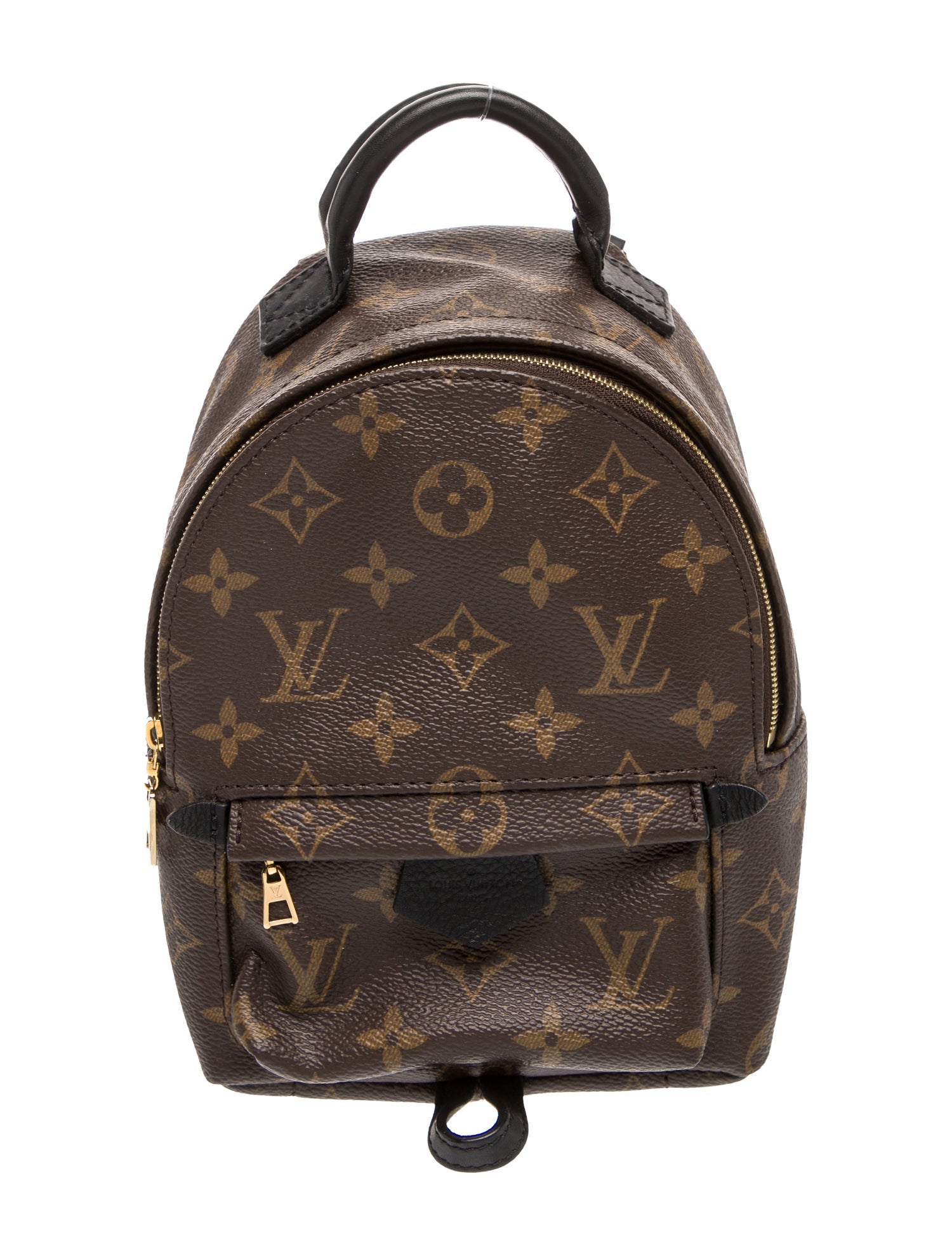 Louis Vuitton LV Monogram Palm Springs Mini