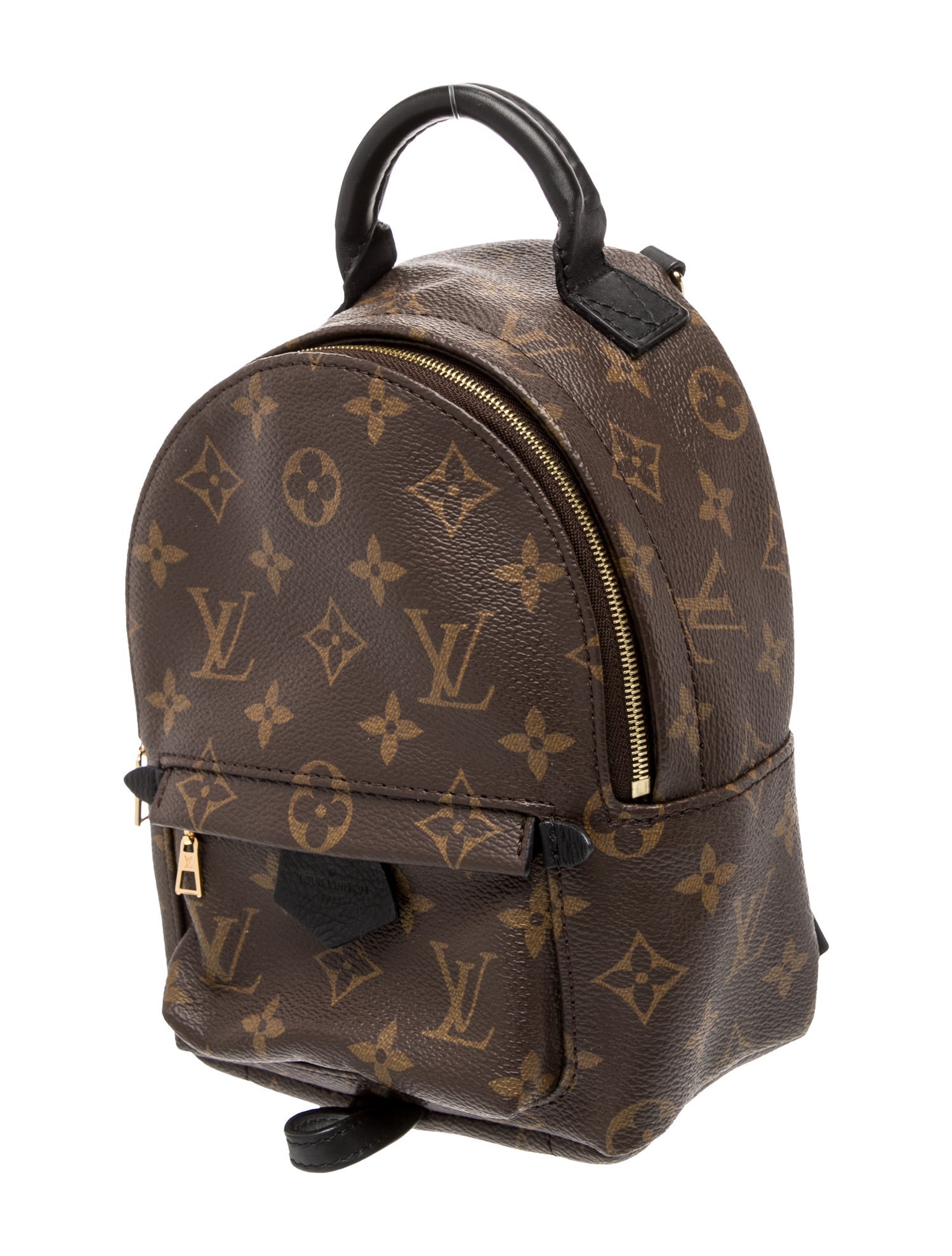 Louis Vuitton LV Monogram Palm Springs Mini