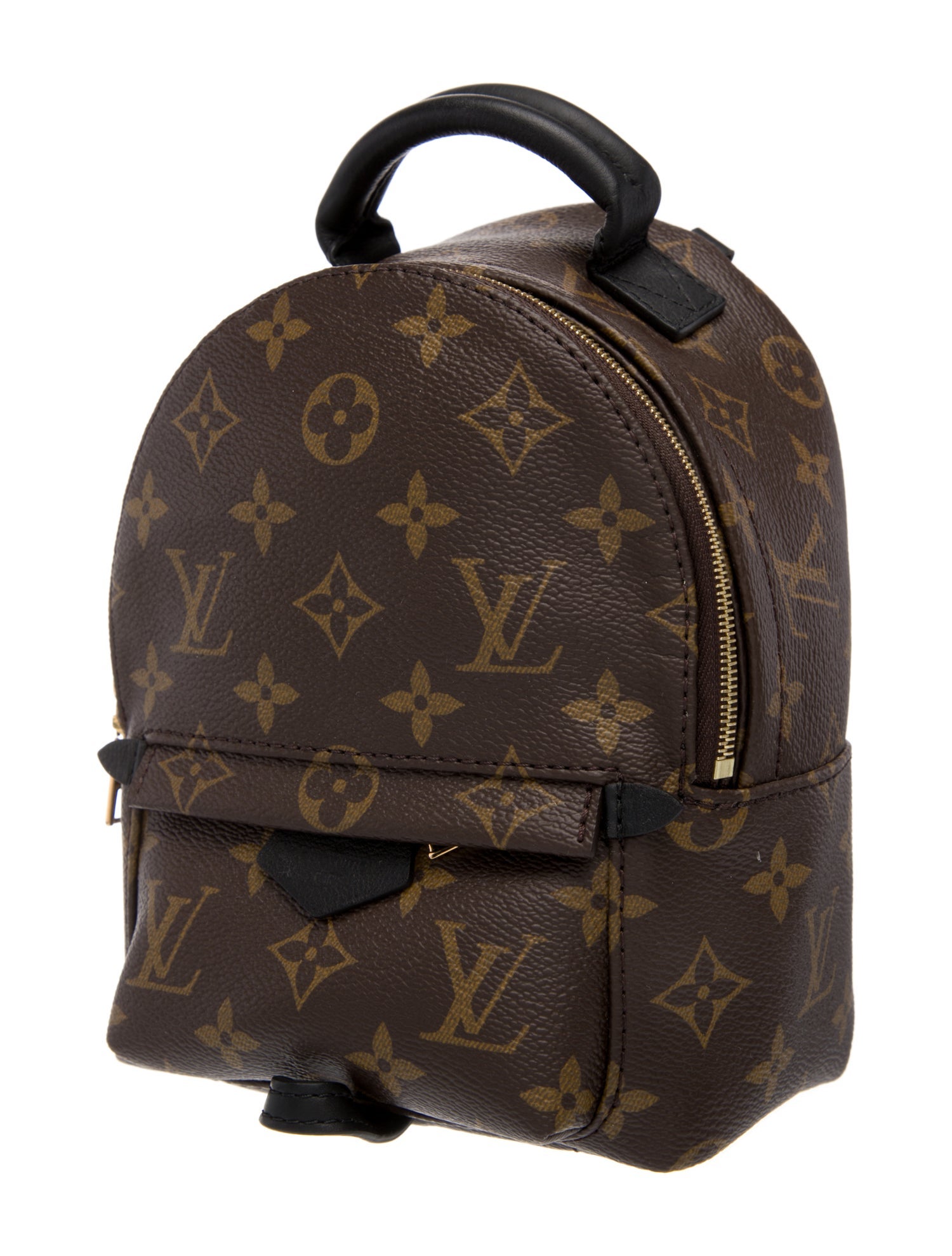 Louis Vuitton LV Monogram Palm Springs Mini