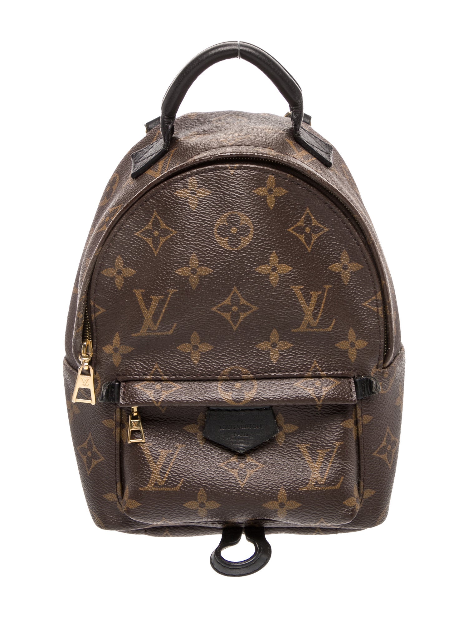 Louis Vuitton LV Monogram Palm Springs Mini