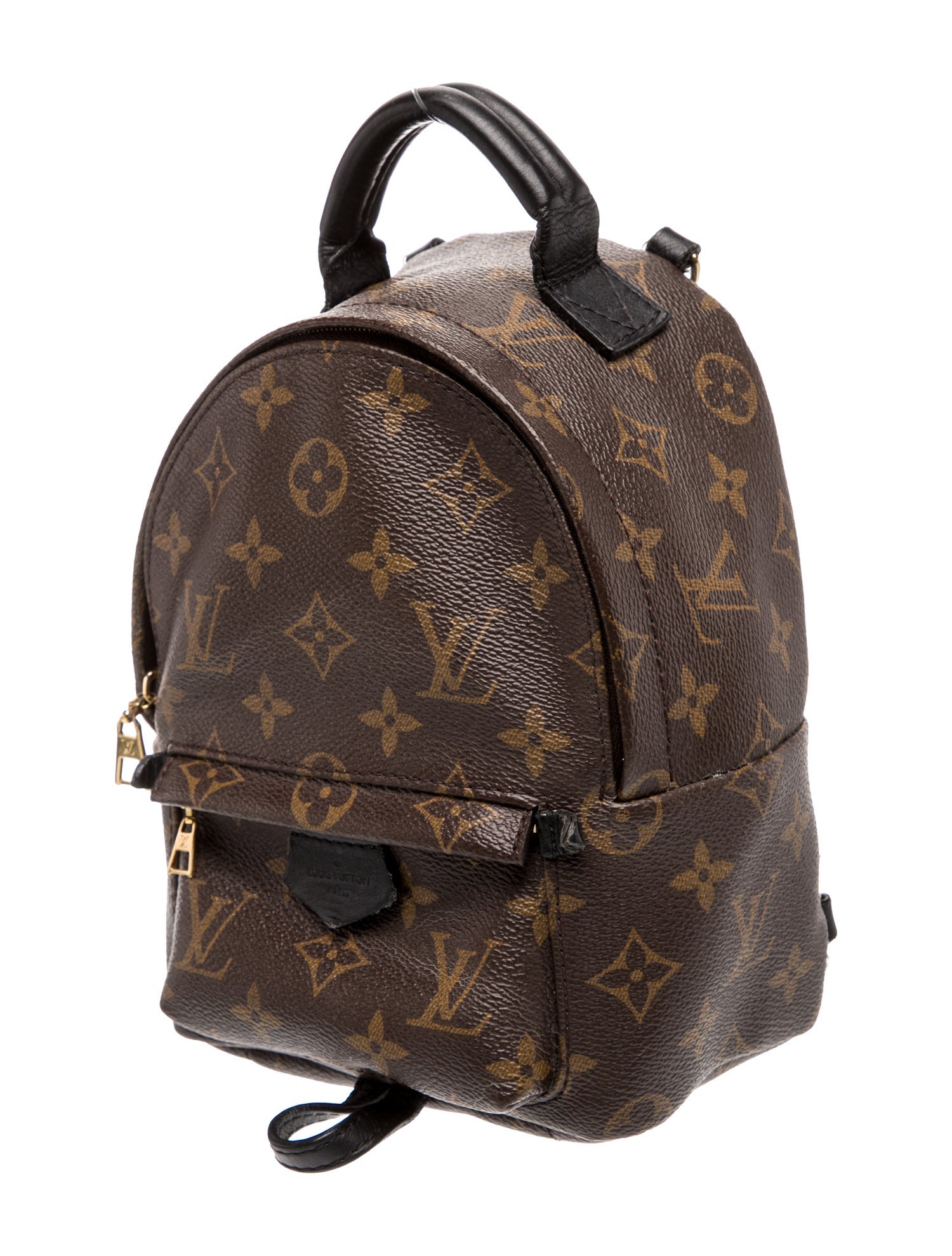Louis Vuitton LV Monogram Palm Springs Mini