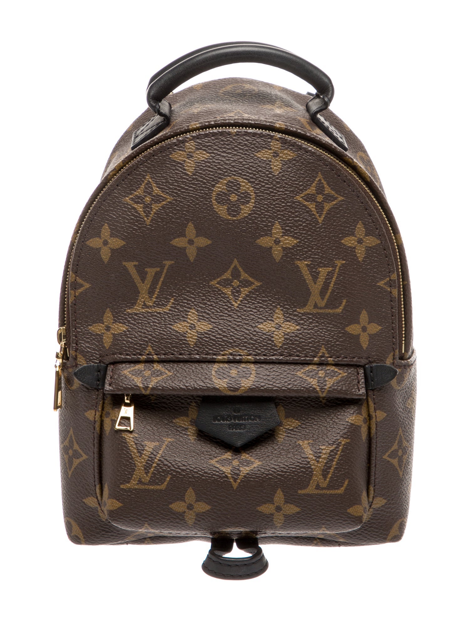 Louis Vuitton LV Monogram Palm Springs Mini