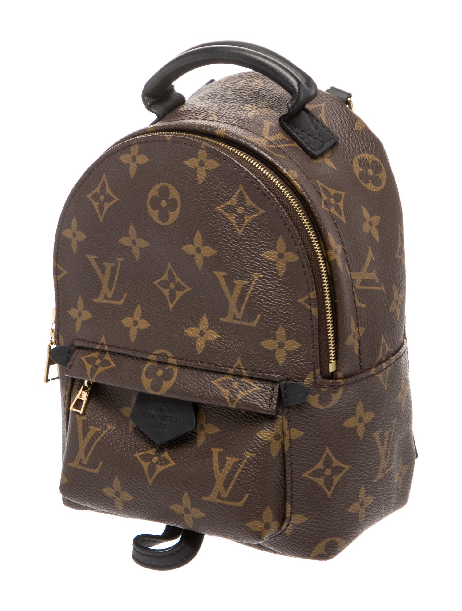 Louis Vuitton LV Monogram Palm Springs Mini