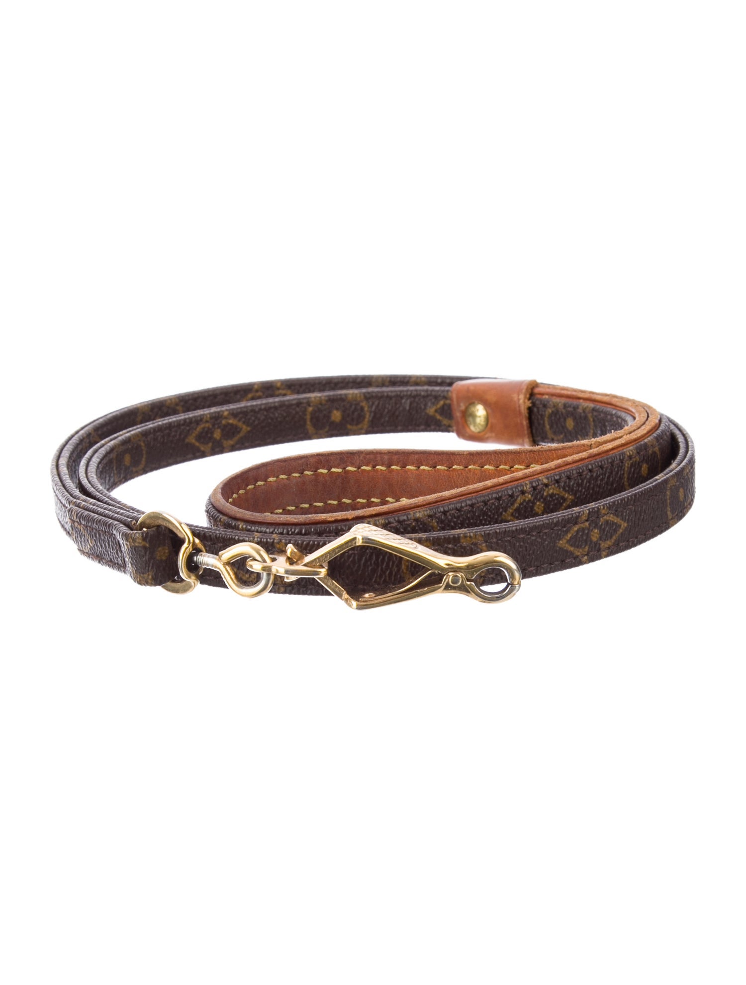 Louis Vuitton Monogram Baxter Pet Leash