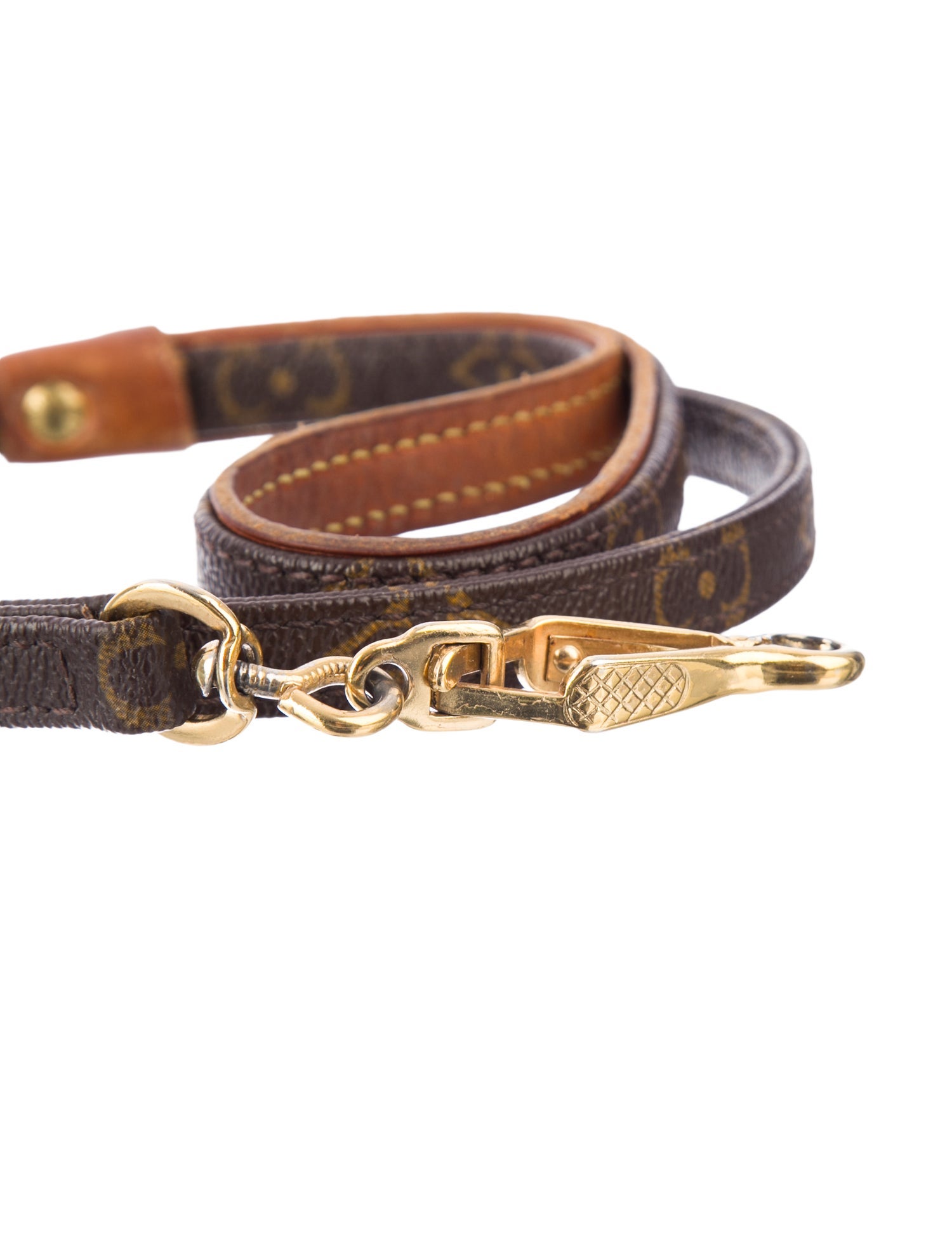 Louis Vuitton Monogram Baxter Pet Leash