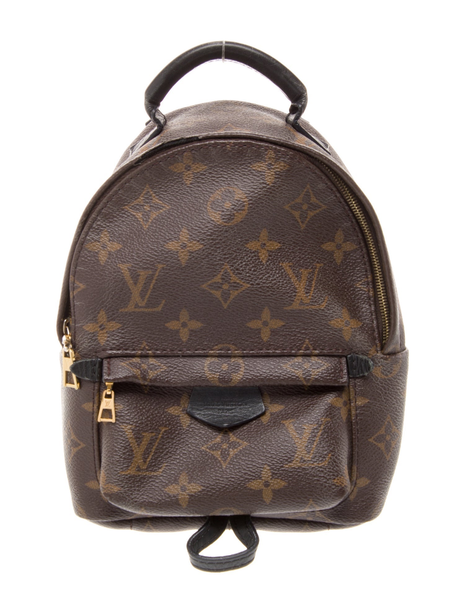 Louis Vuitton LV Monogram Palm Springs