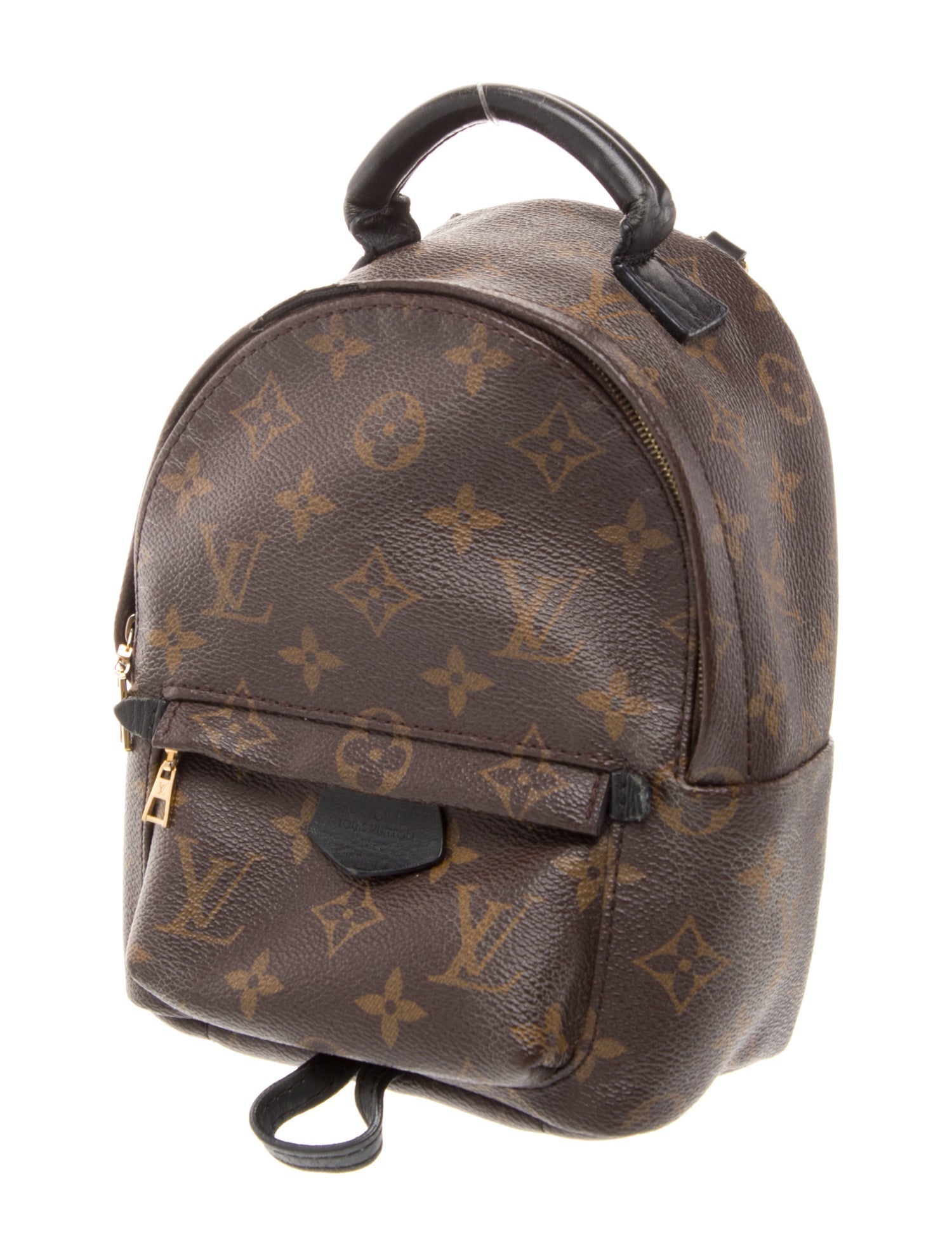 Louis Vuitton LV Monogram Palm Springs