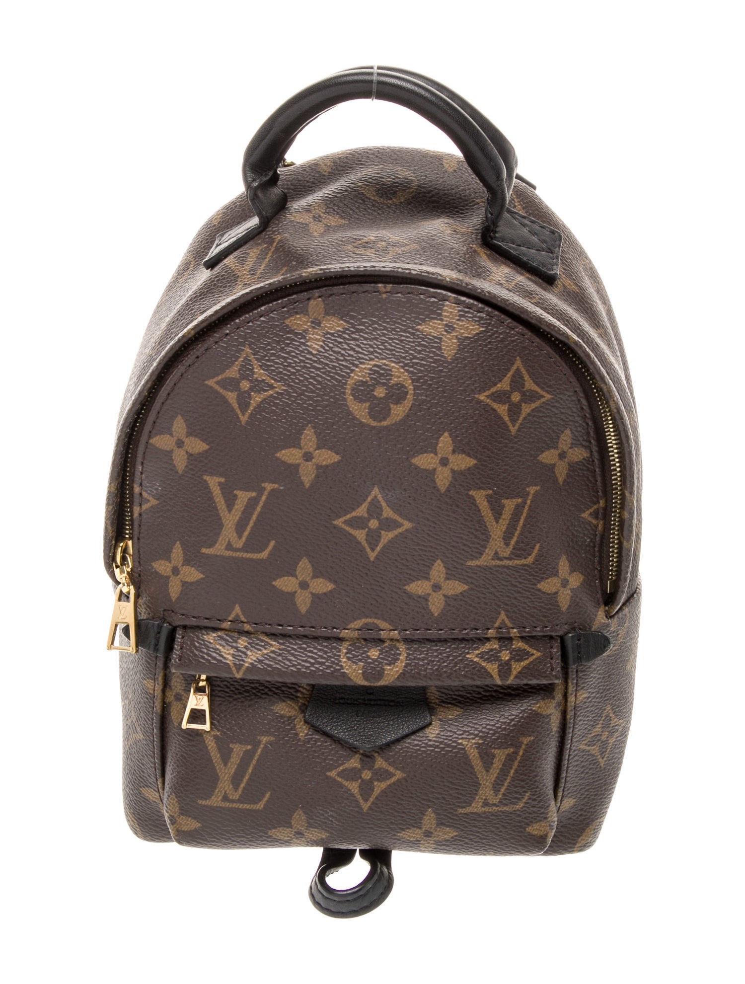 Louis Vuitton LV Monogram Palm Springs