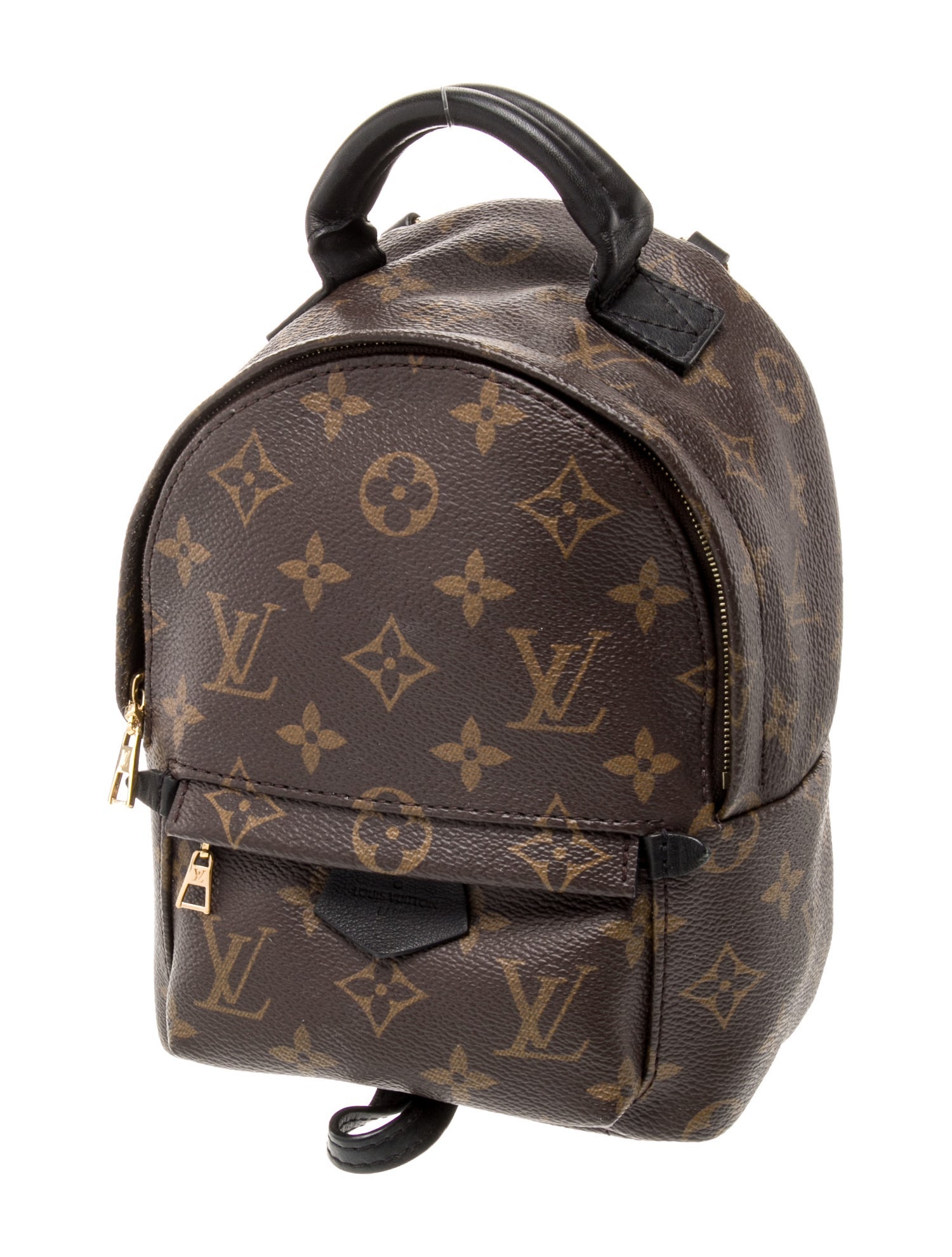 Louis Vuitton LV Monogram Palm Springs