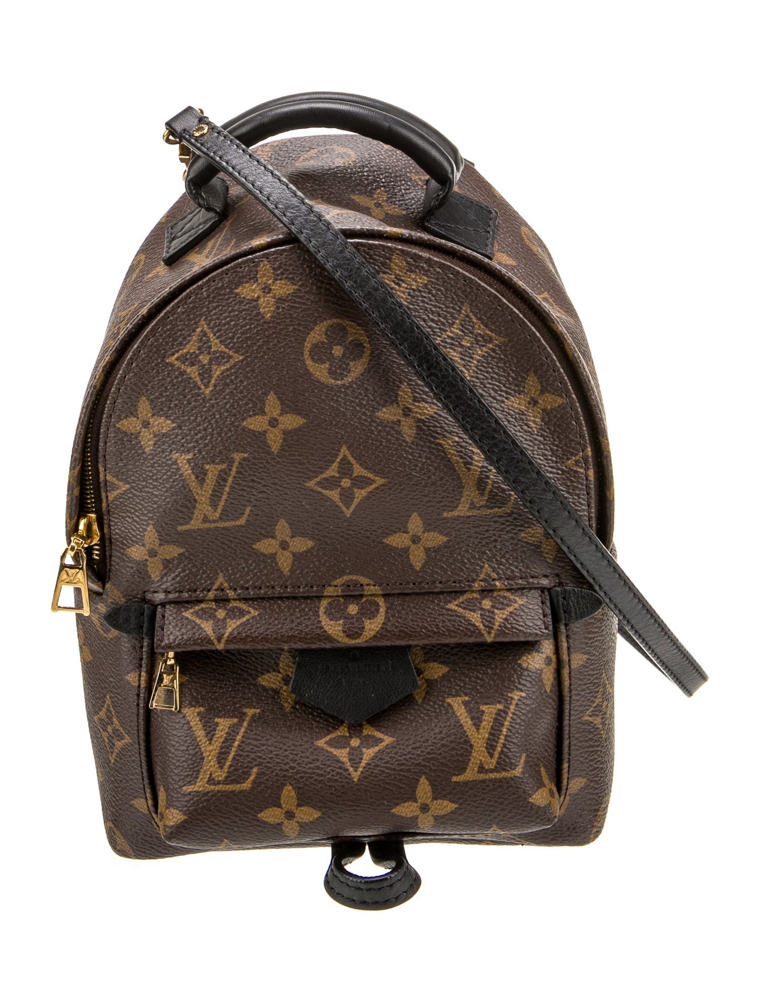 Louis Vuitton LV Monogram Palm Springs Mini