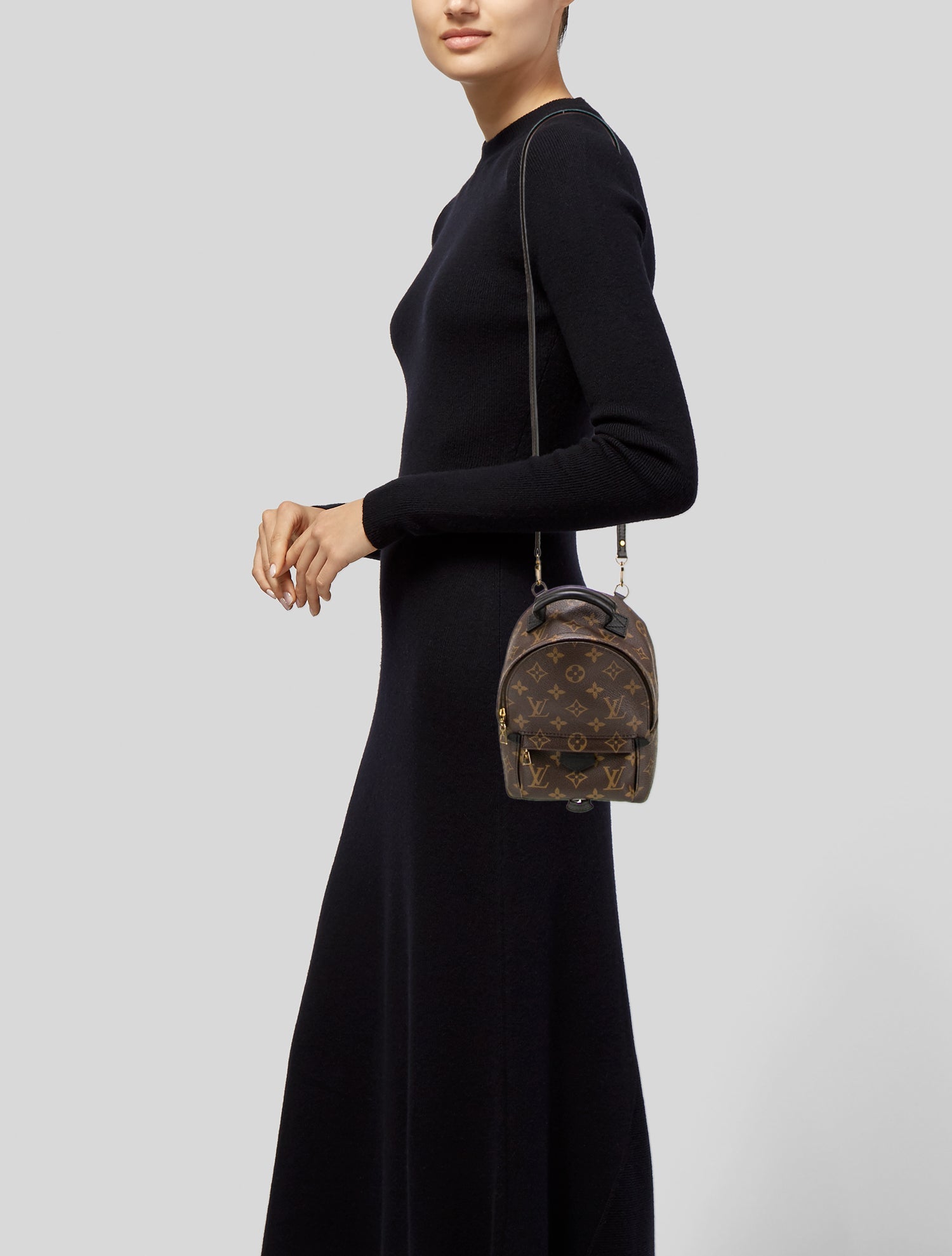 Louis Vuitton LV Monogram Palm Springs Mini