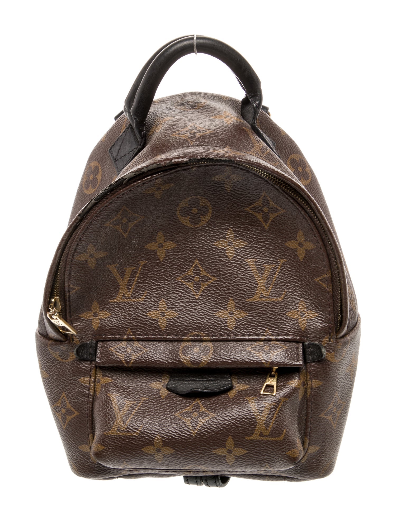 Louis Vuitton Monogram Palm Springs Mini
