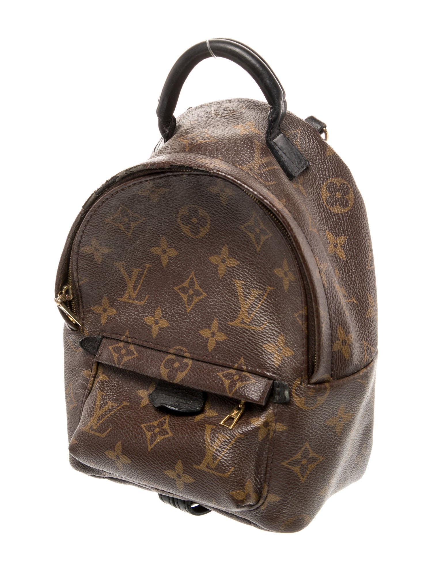 Louis Vuitton Monogram Palm Springs Mini