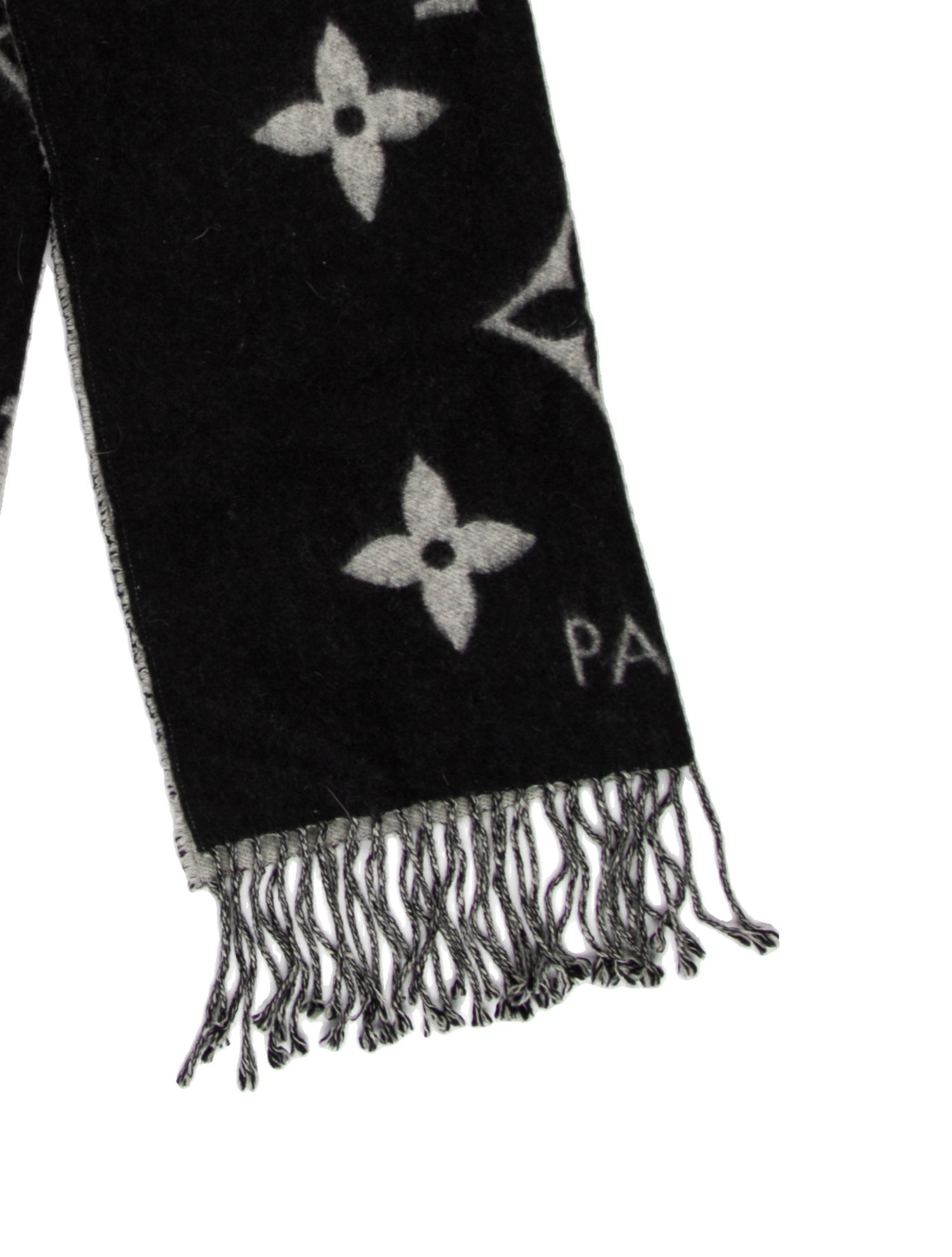 Louis Vuitton Cashmere 2022 Scarf