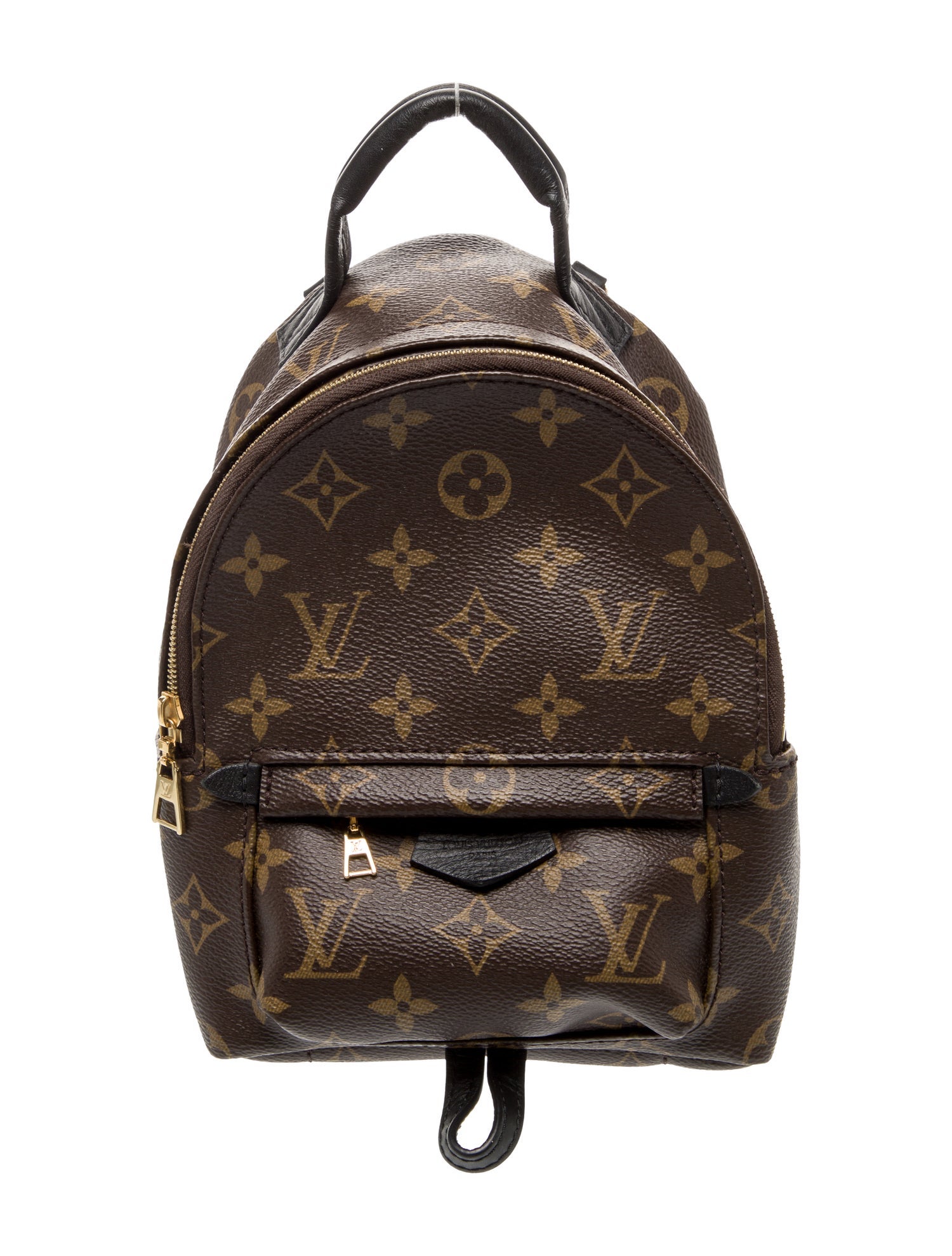Louis Vuitton LV Monogram Palm Springs Mini