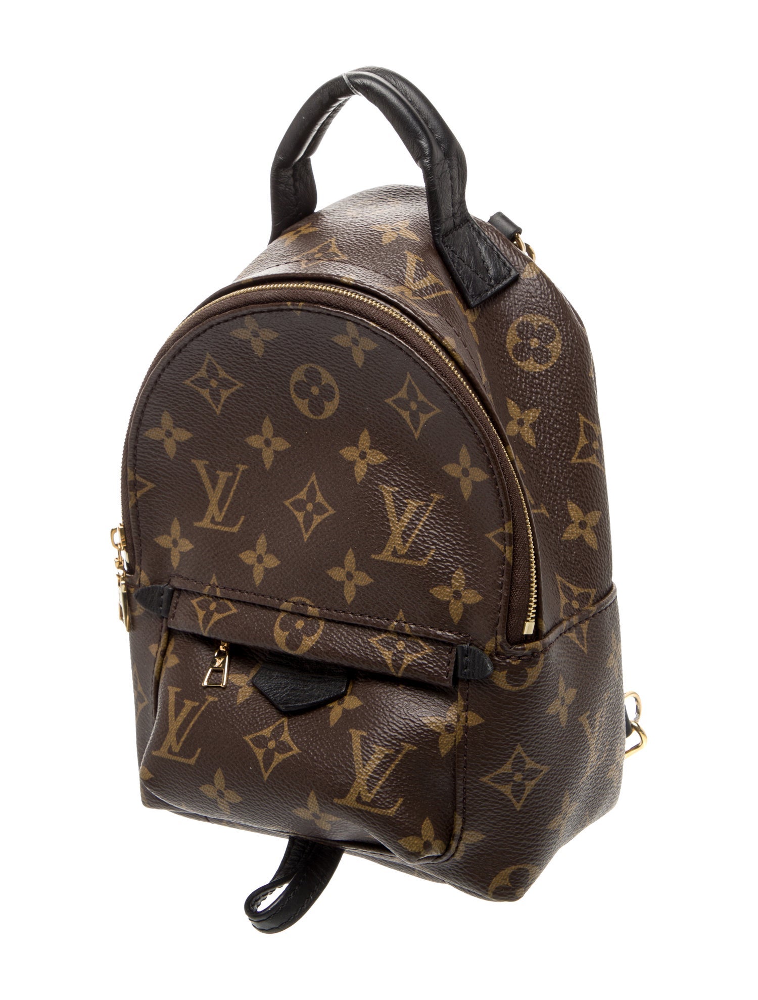 Louis Vuitton LV Monogram Palm Springs Mini