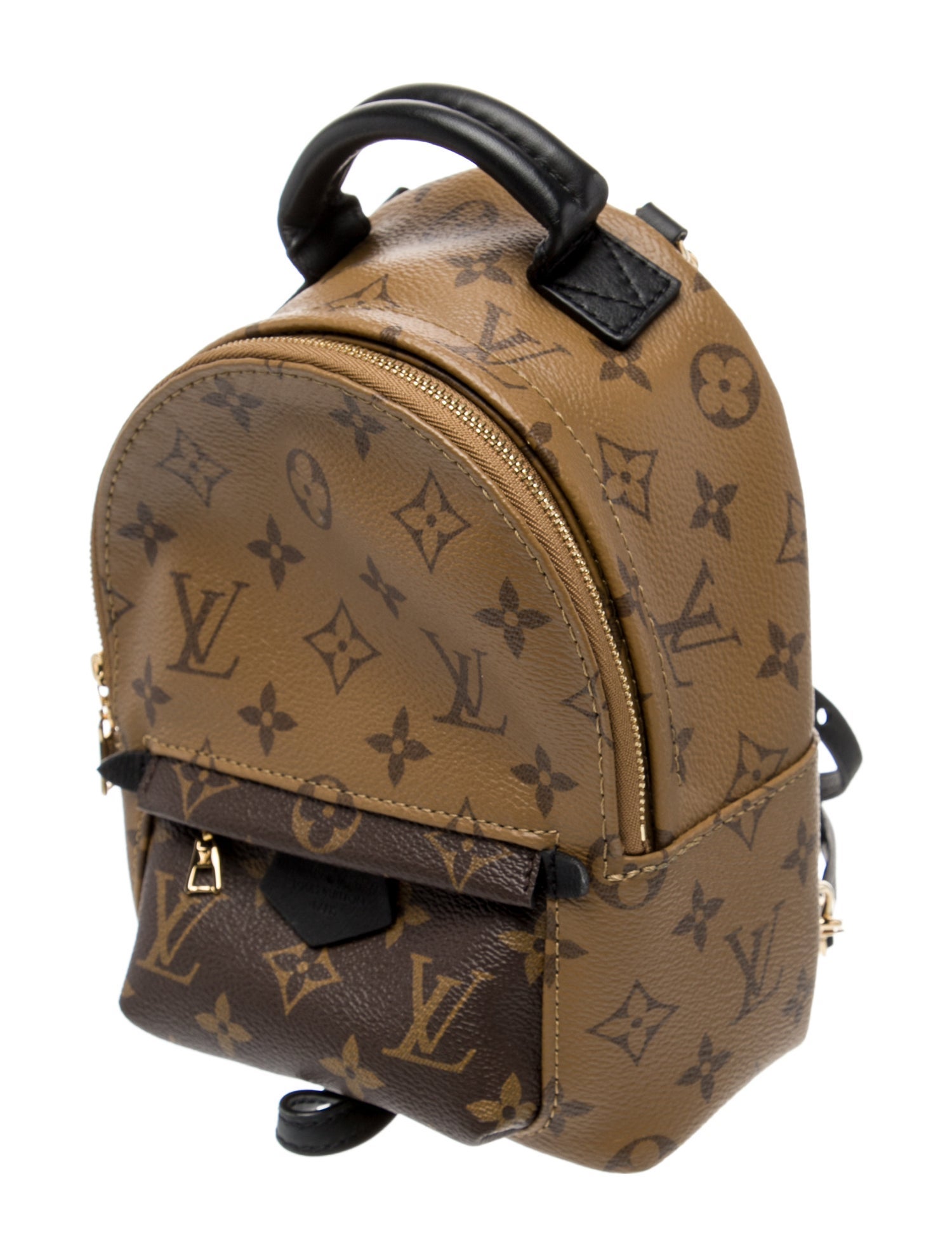 Louis Vuitton Monogram Reverse Palm Springs Mini
