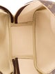 Louis Vuitton Monogram Excursion Shoe Bag
