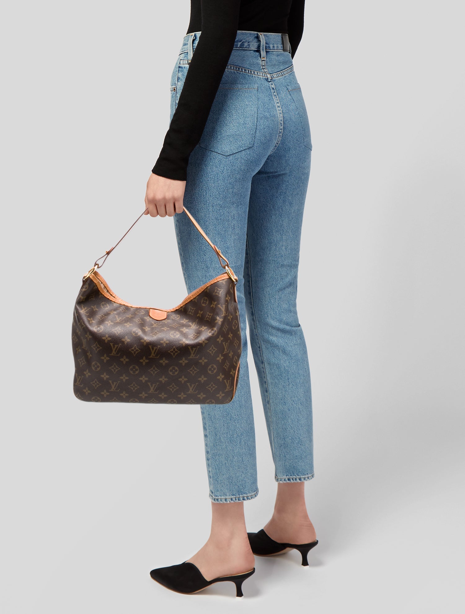 Louis Vuitton LV Monogram Delightful MM