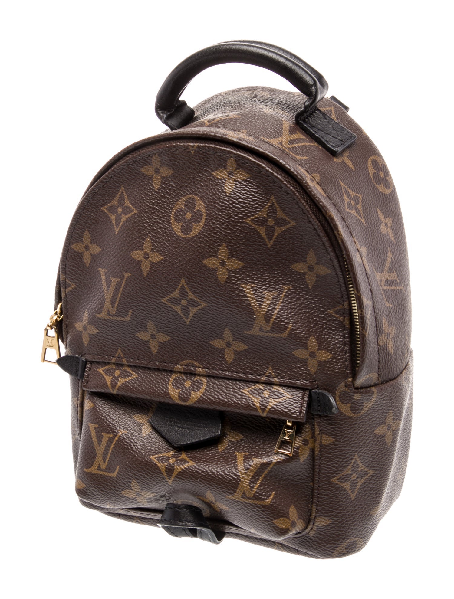 Louis Vuitton LV Monogram Palm Springs Mini
