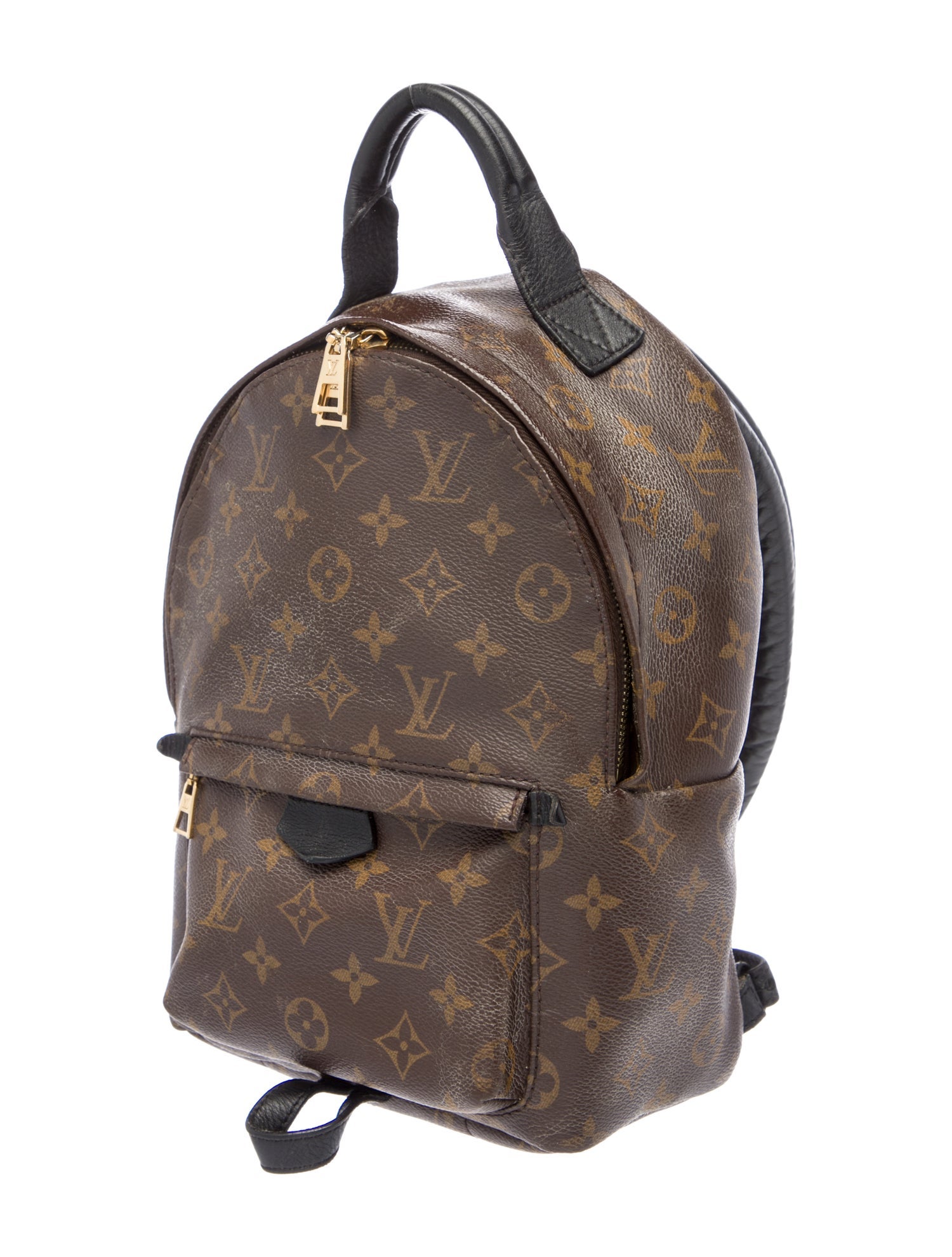 Louis Vuitton LV Monogram Palm Springs PM