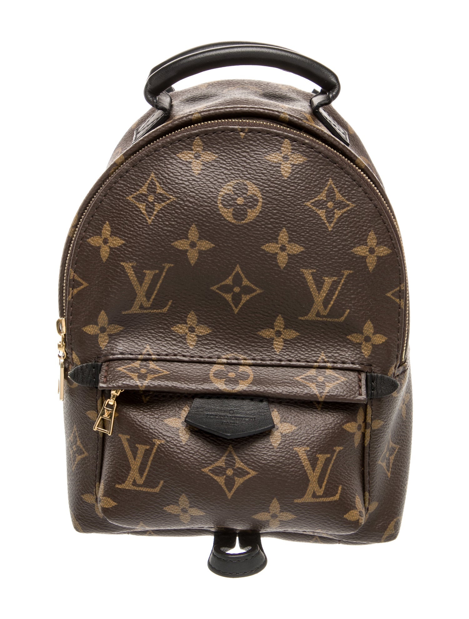 Louis Vuitton LV Monogram Palm Springs Mini