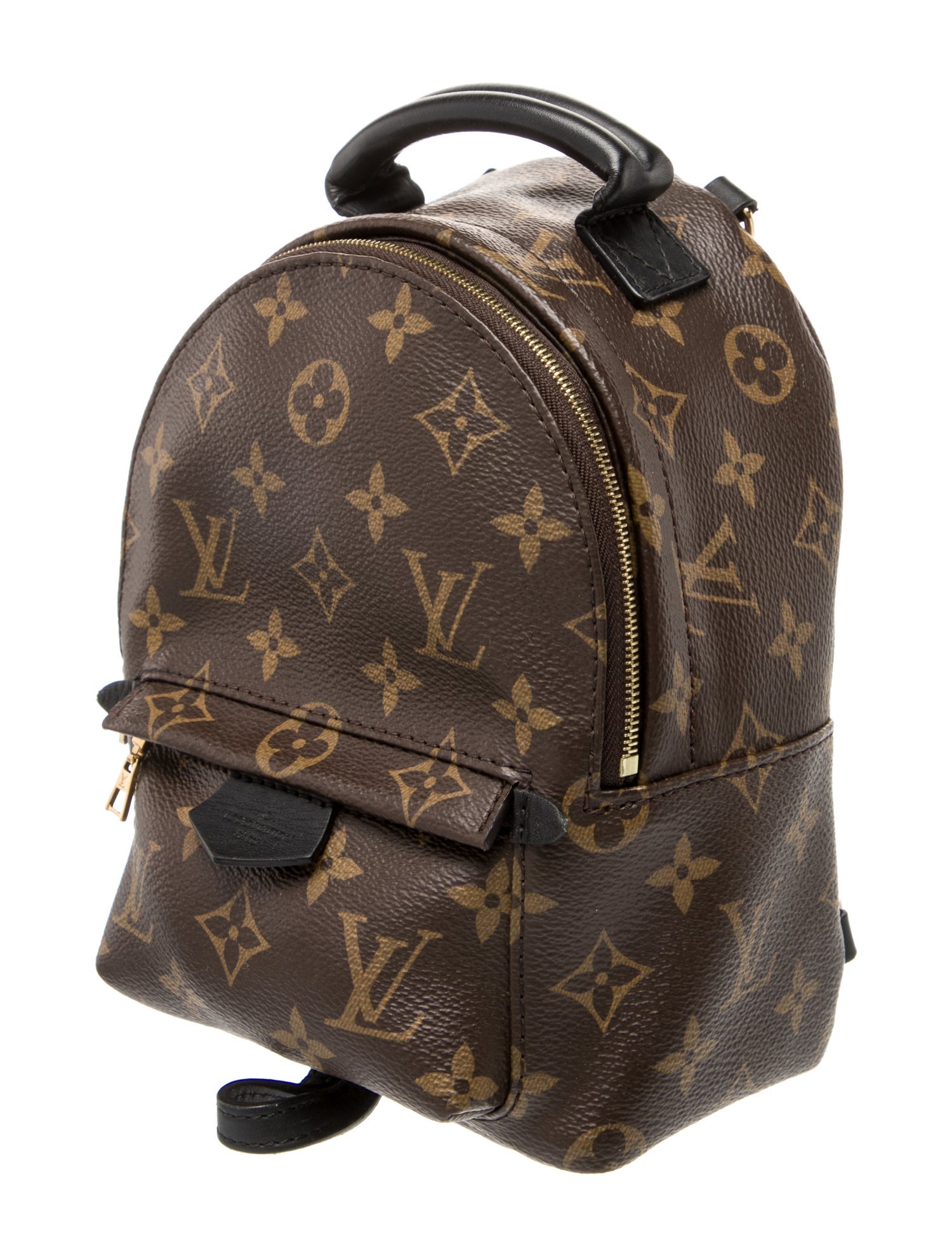 Louis Vuitton LV Monogram Palm Springs Mini