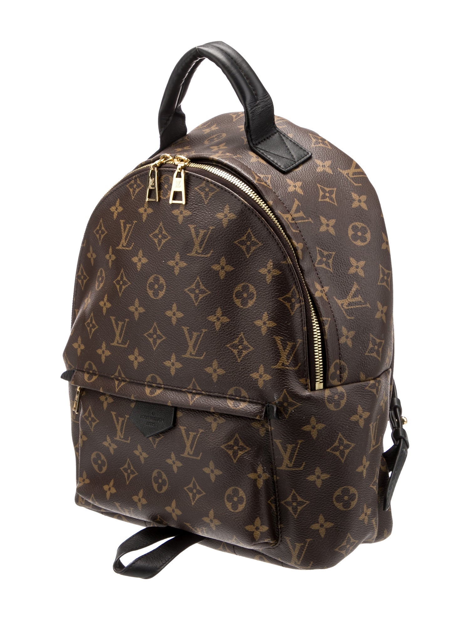 Louis Vuitton LV Monogram Palm Springs