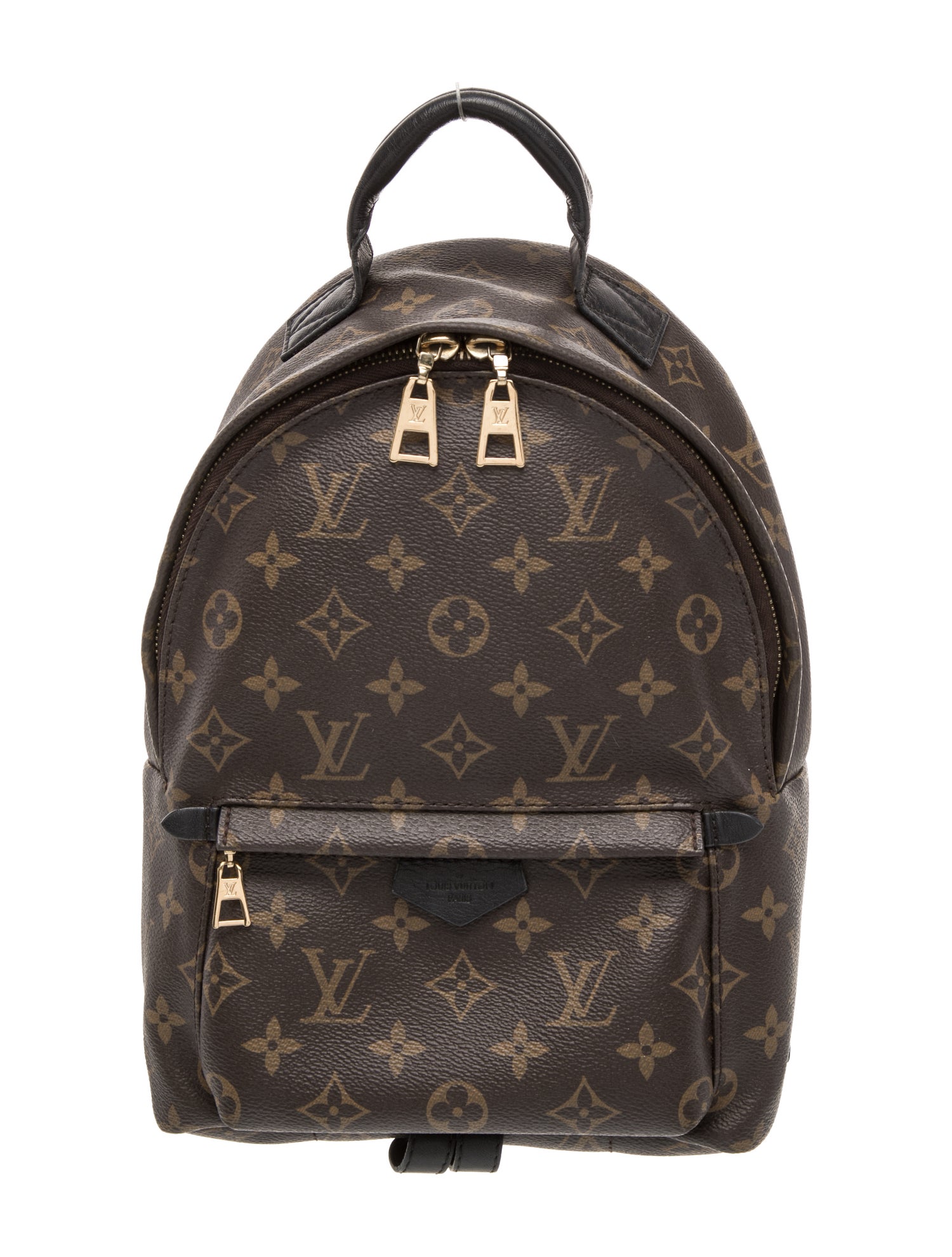 Louis Vuitton LV Monogram Palm Springs PM