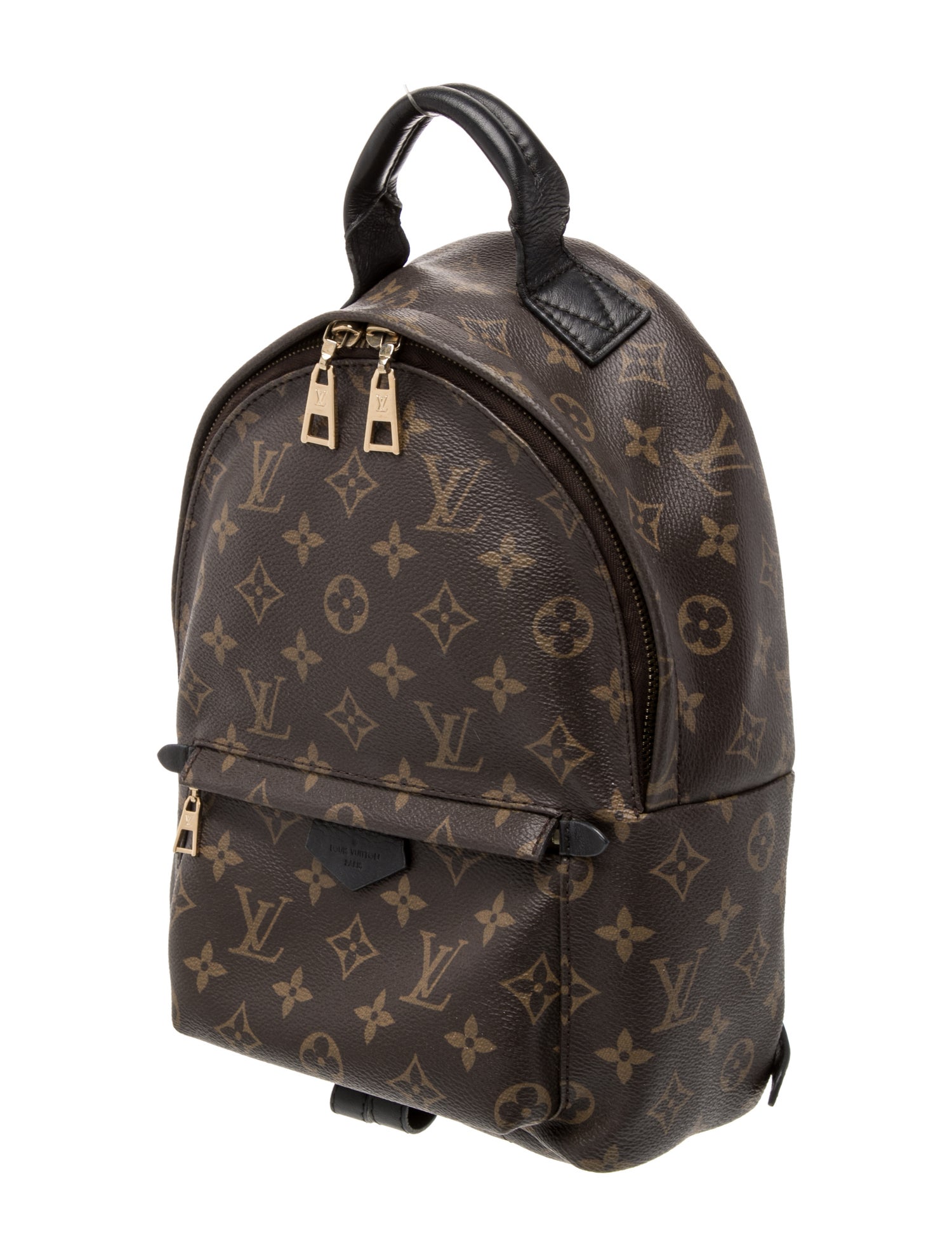 Louis Vuitton LV Monogram Palm Springs PM