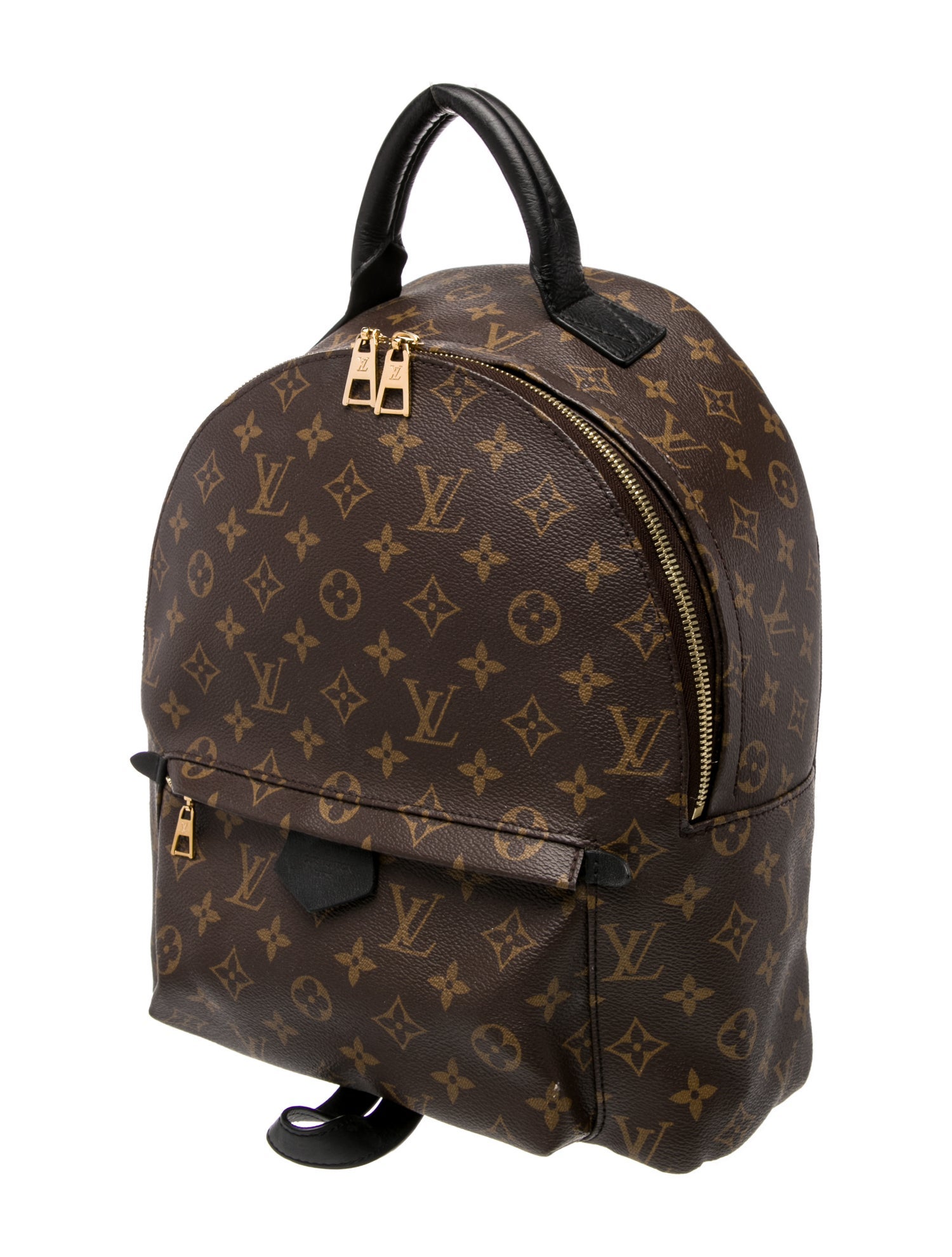 Louis Vuitton LV Monogram Palm Springs MM