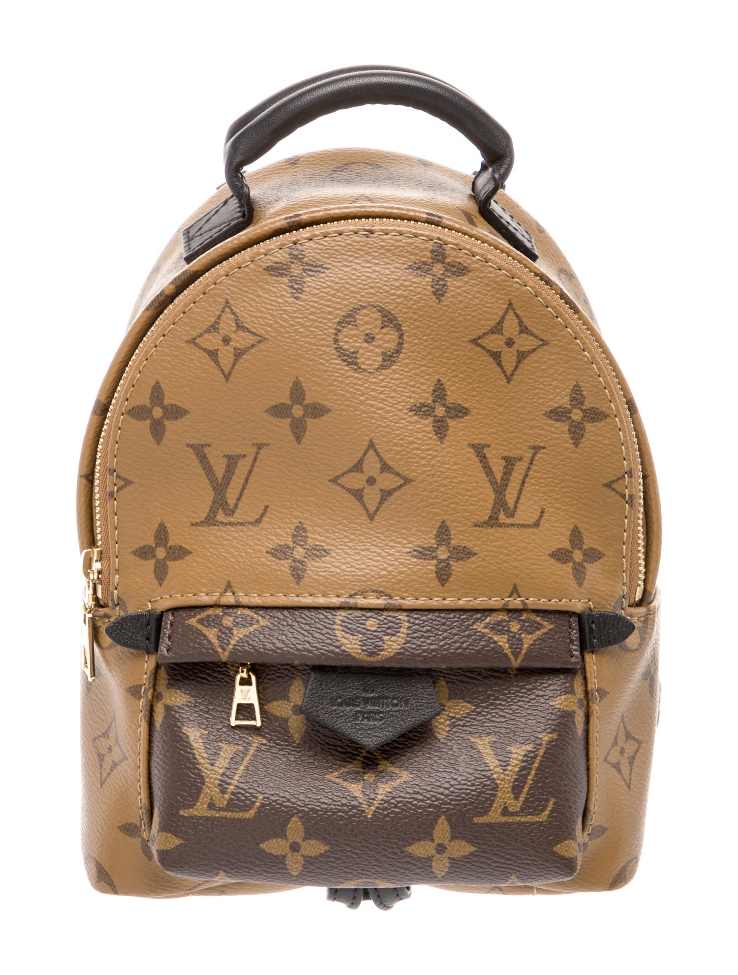 Louis Vuitton LV Monogram Palm Springs Mini