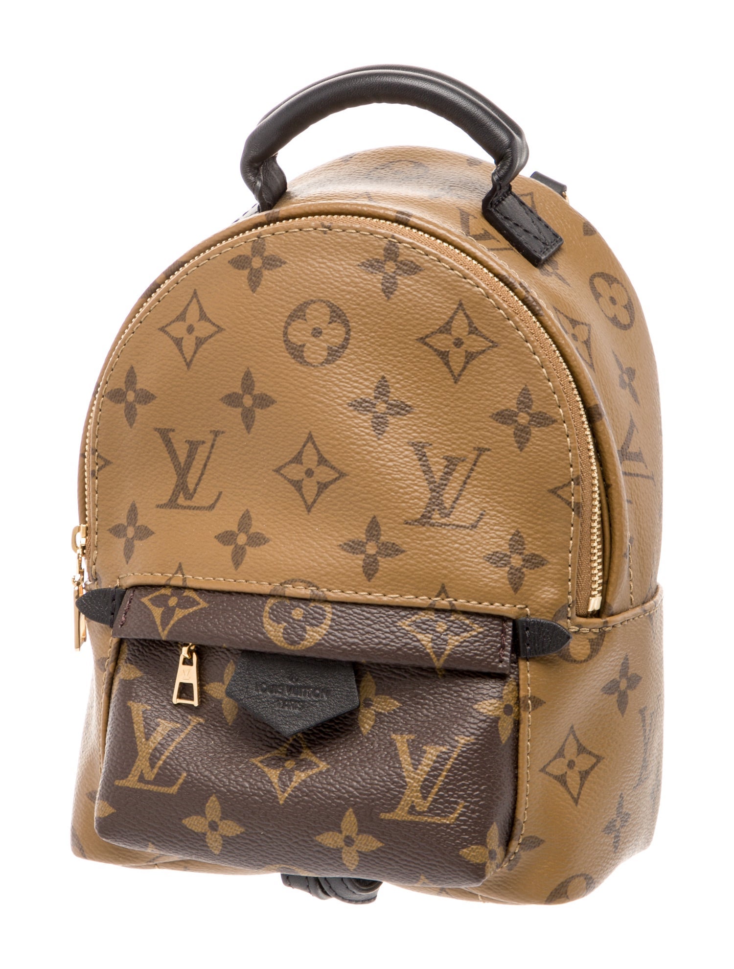 Louis Vuitton LV Monogram Palm Springs Mini