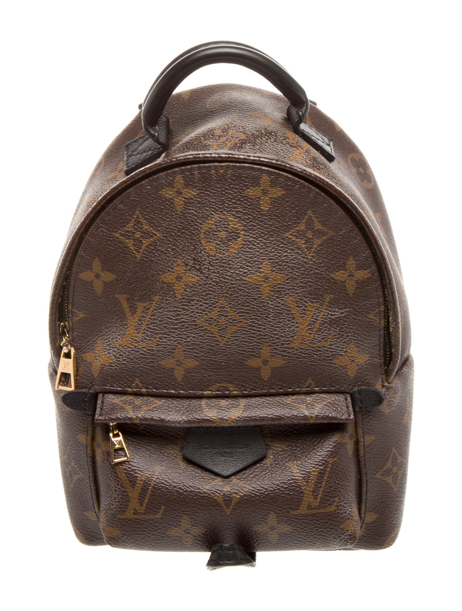 Louis Vuitton LV Monogram Palm Springs Mini
