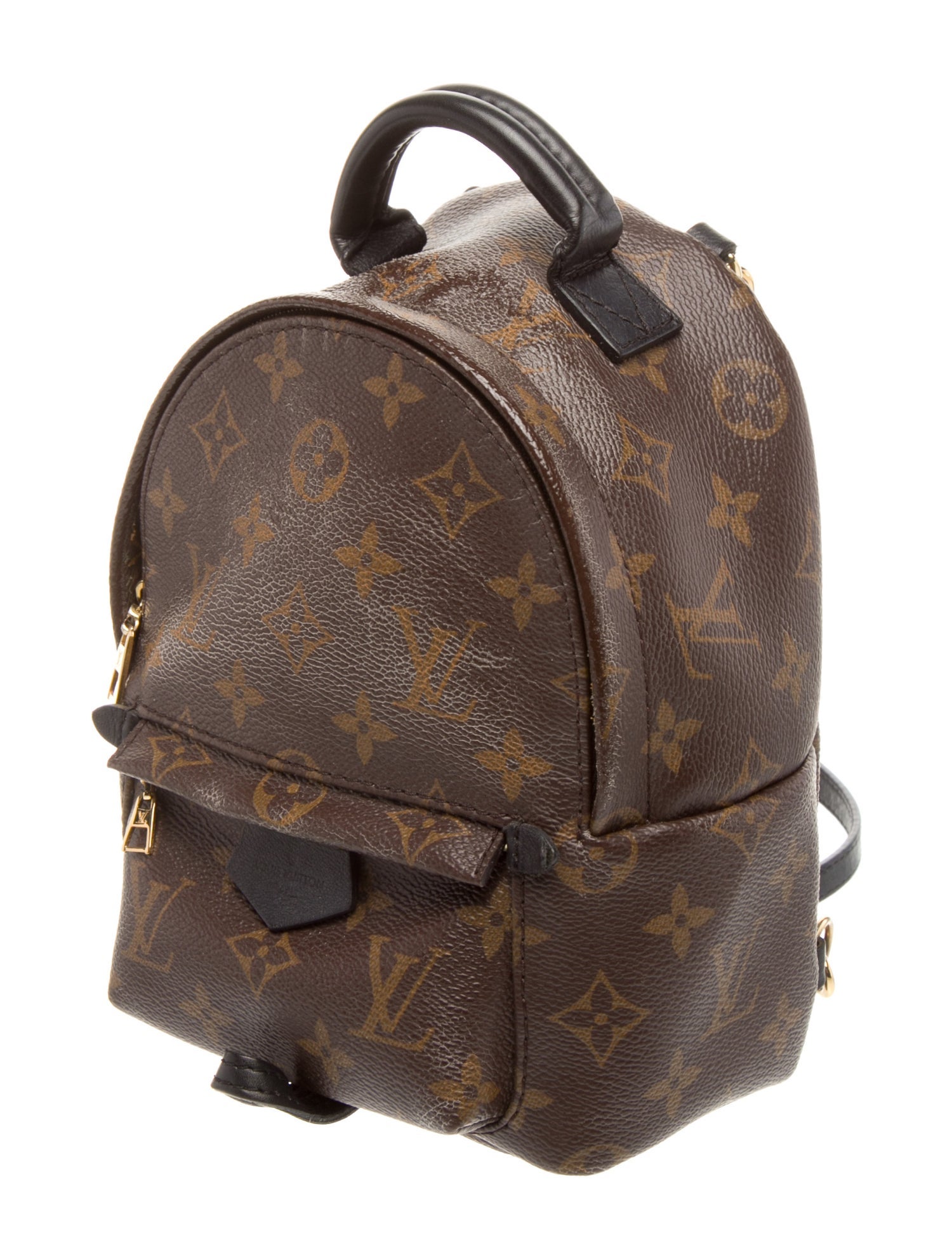 Louis Vuitton LV Monogram Palm Springs Mini