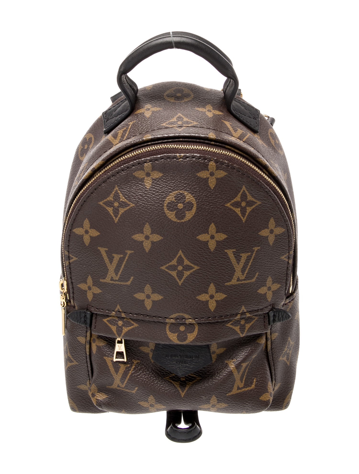 Louis Vuitton LV Monogram Palm Springs Mini