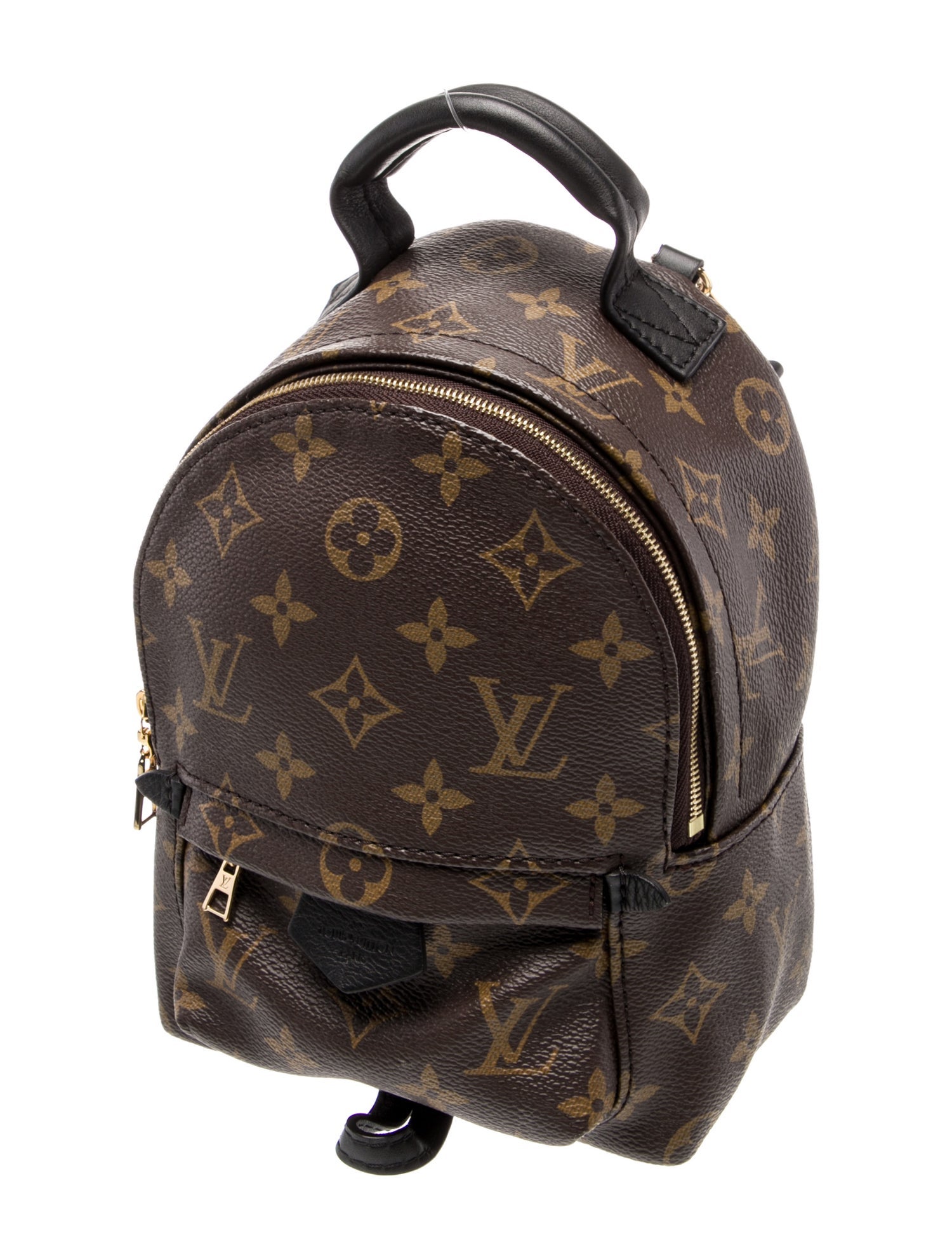 Louis Vuitton LV Monogram Palm Springs Mini