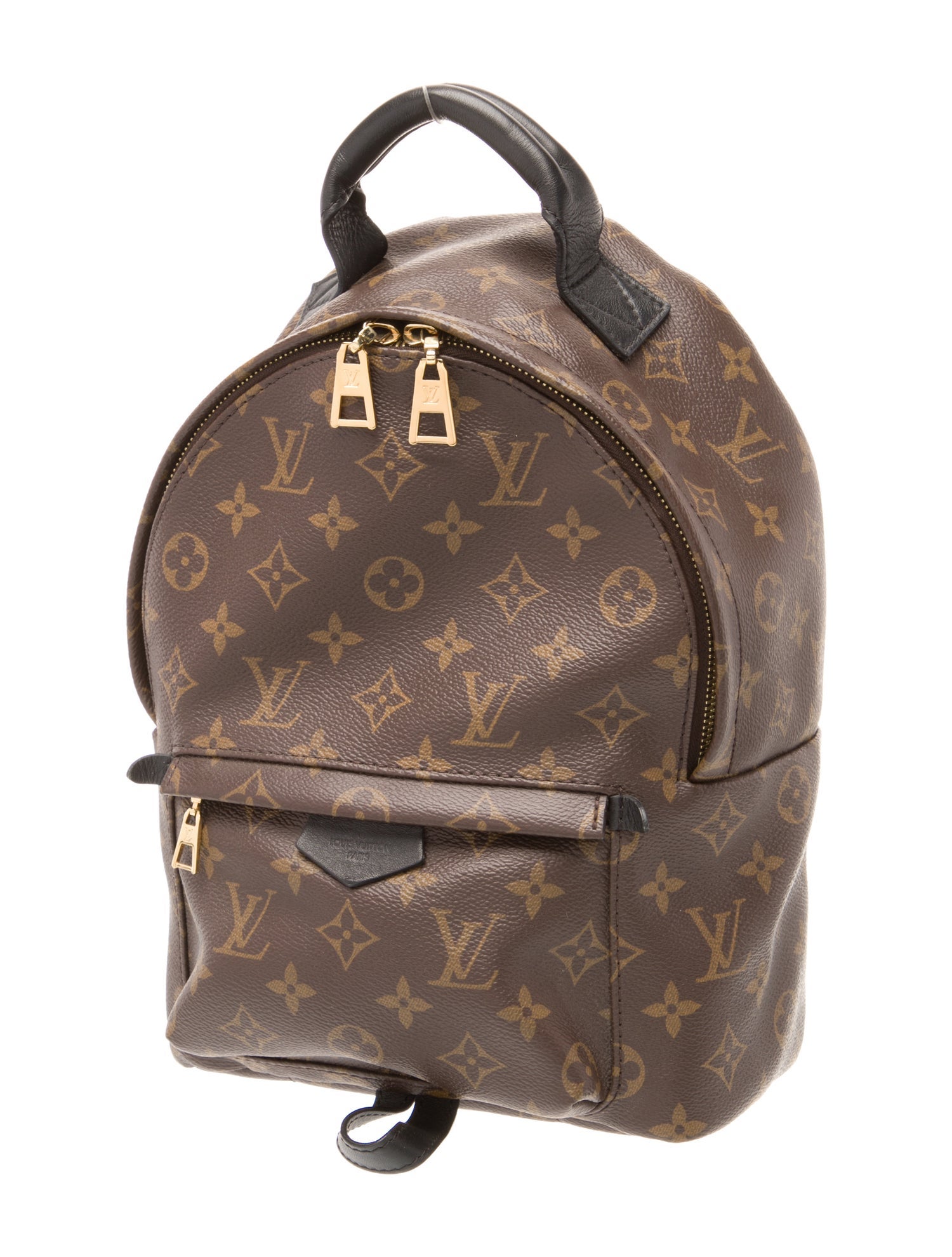 Louis Vuitton LV Monogram Palm Springs PM
