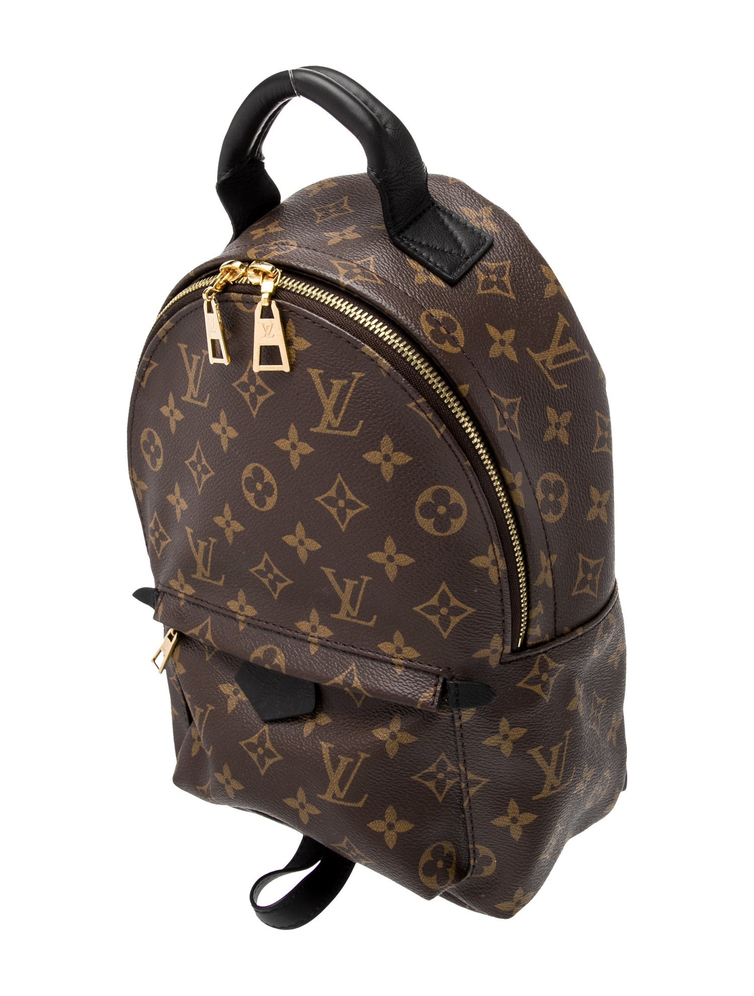 Louis Vuitton LV Monogram Palm Springs PM