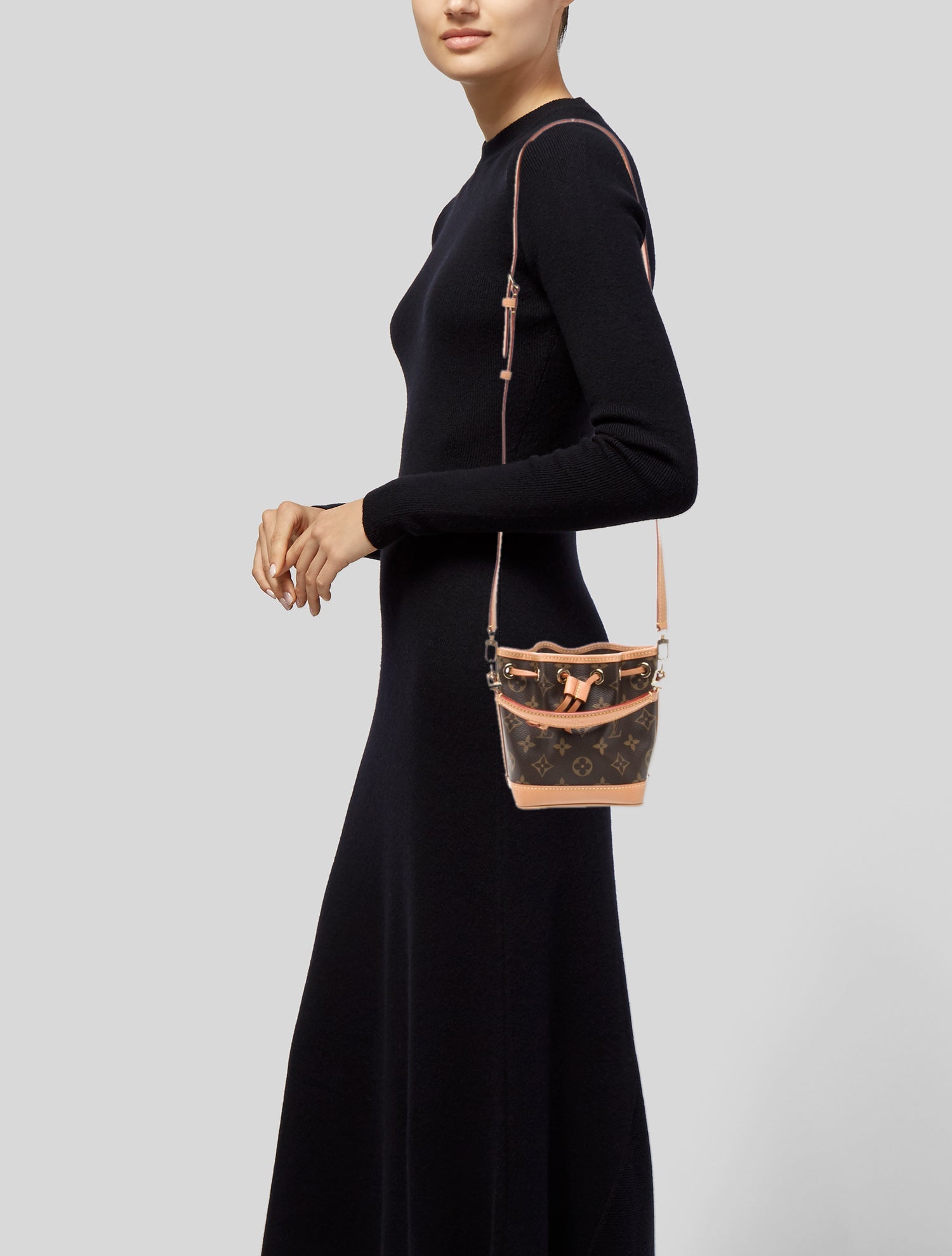 Louis Vuitton LV Monogram Noé Nano