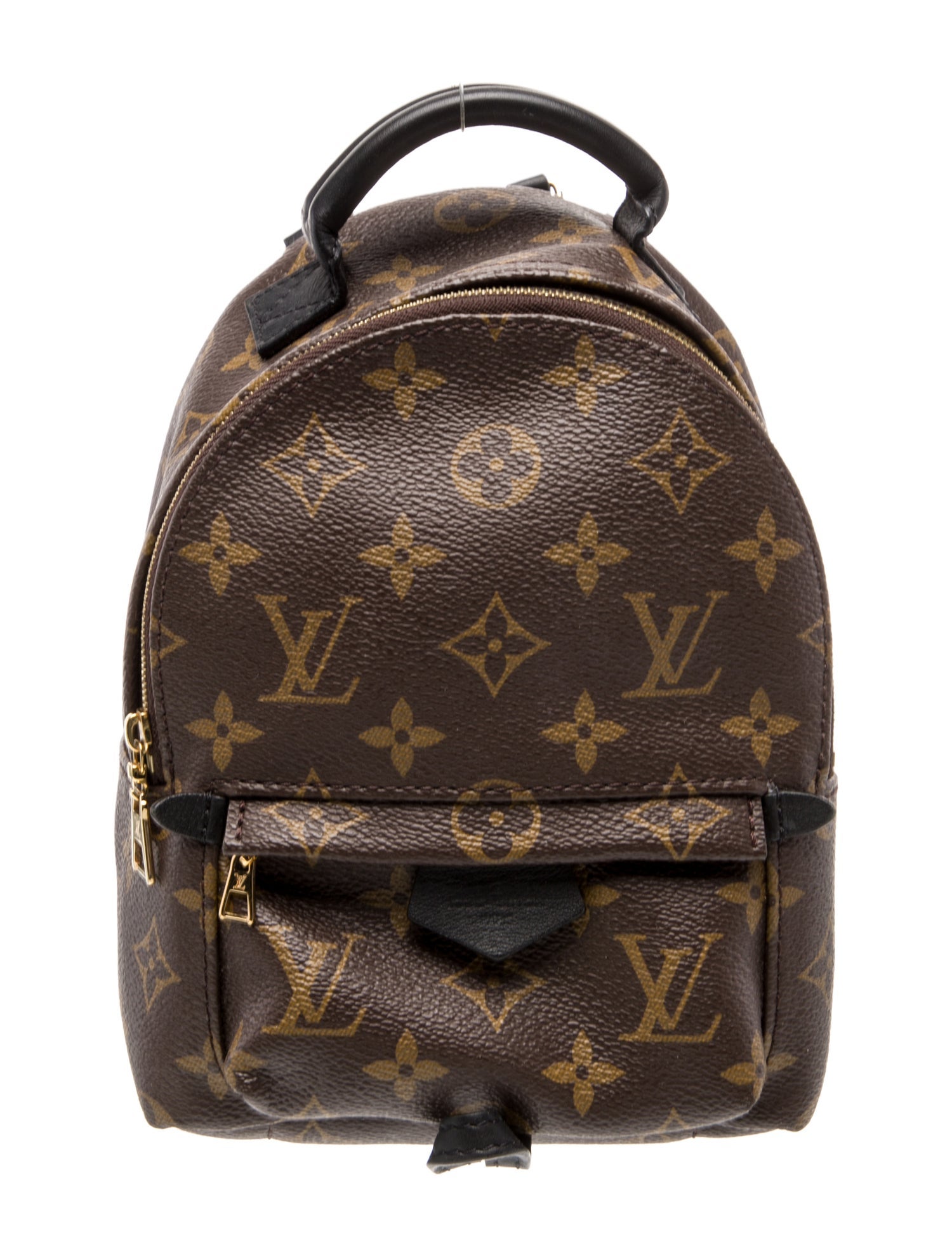 Louis Vuitton LV Monogram Palm Springs Mini
