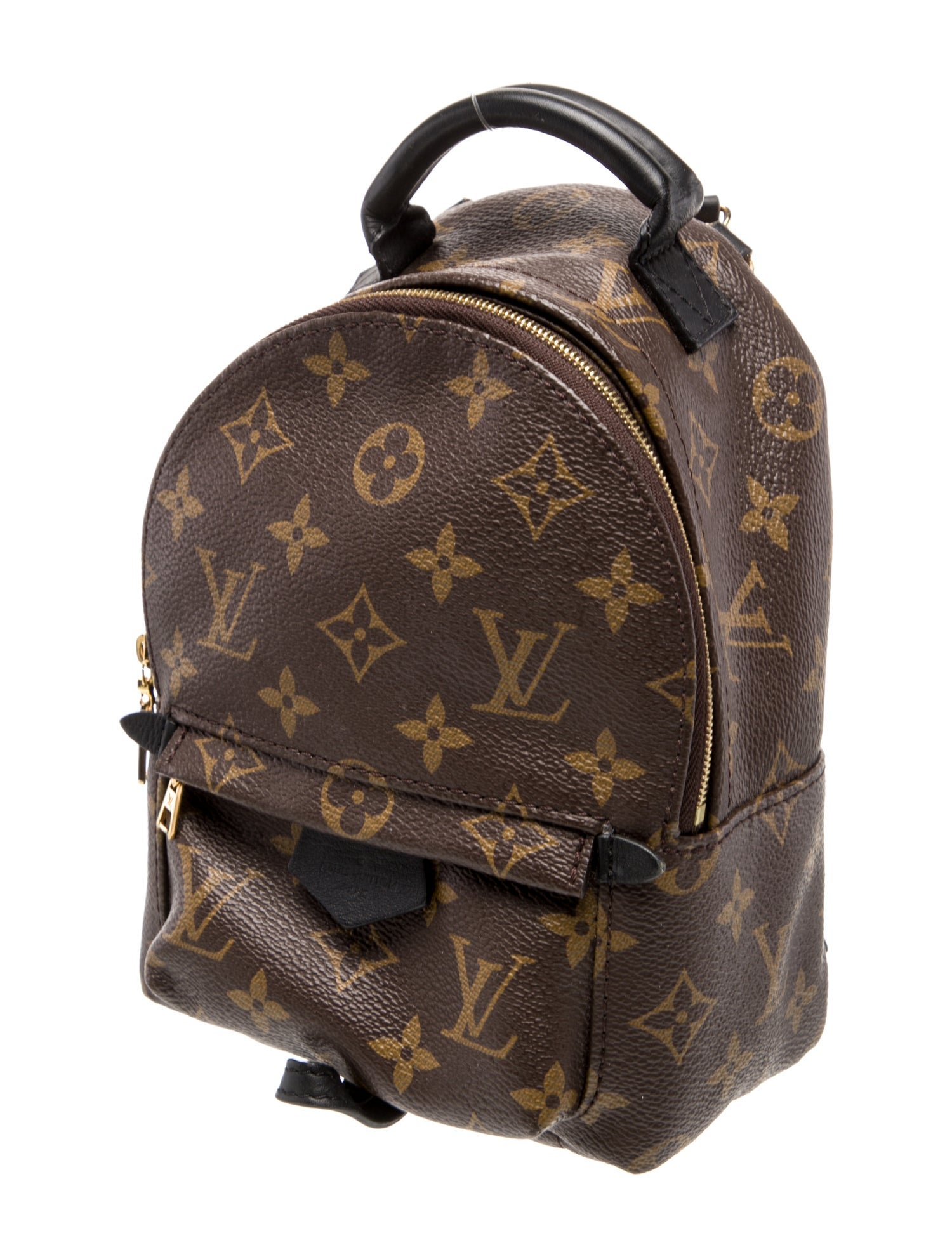 Louis Vuitton LV Monogram Palm Springs Mini
