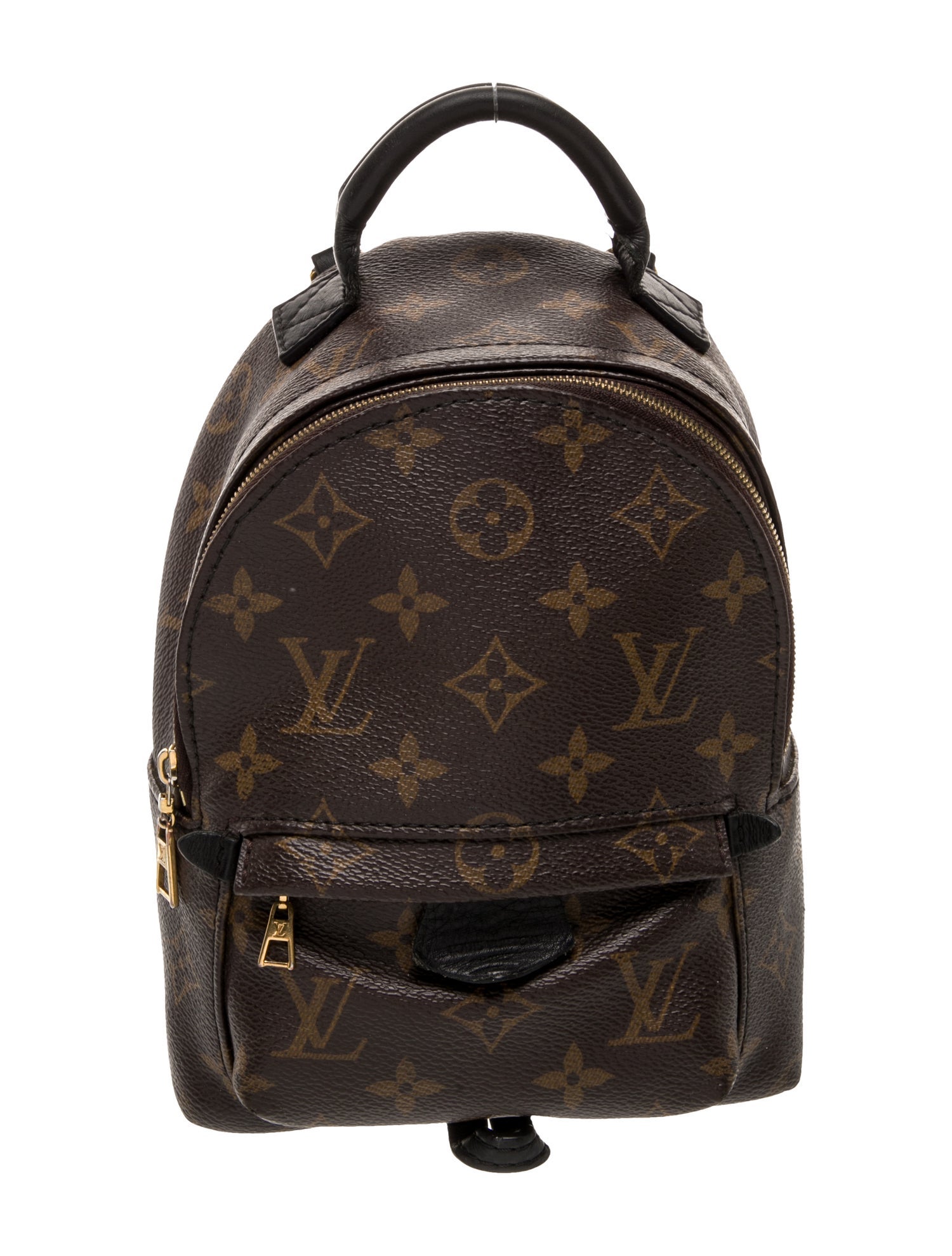 Louis Vuitton LV Monogram Palm Springs Mini