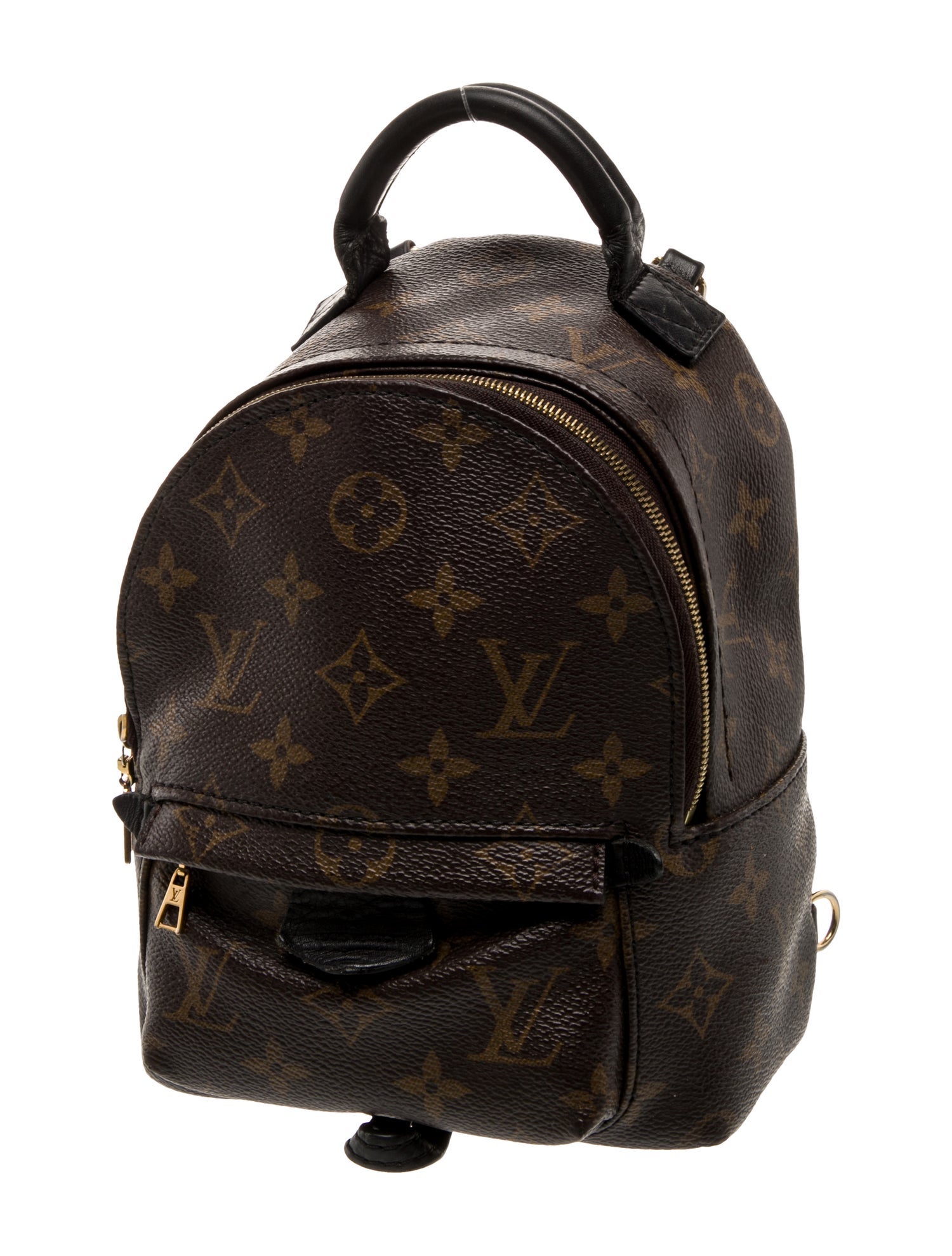 Louis Vuitton LV Monogram Palm Springs Mini